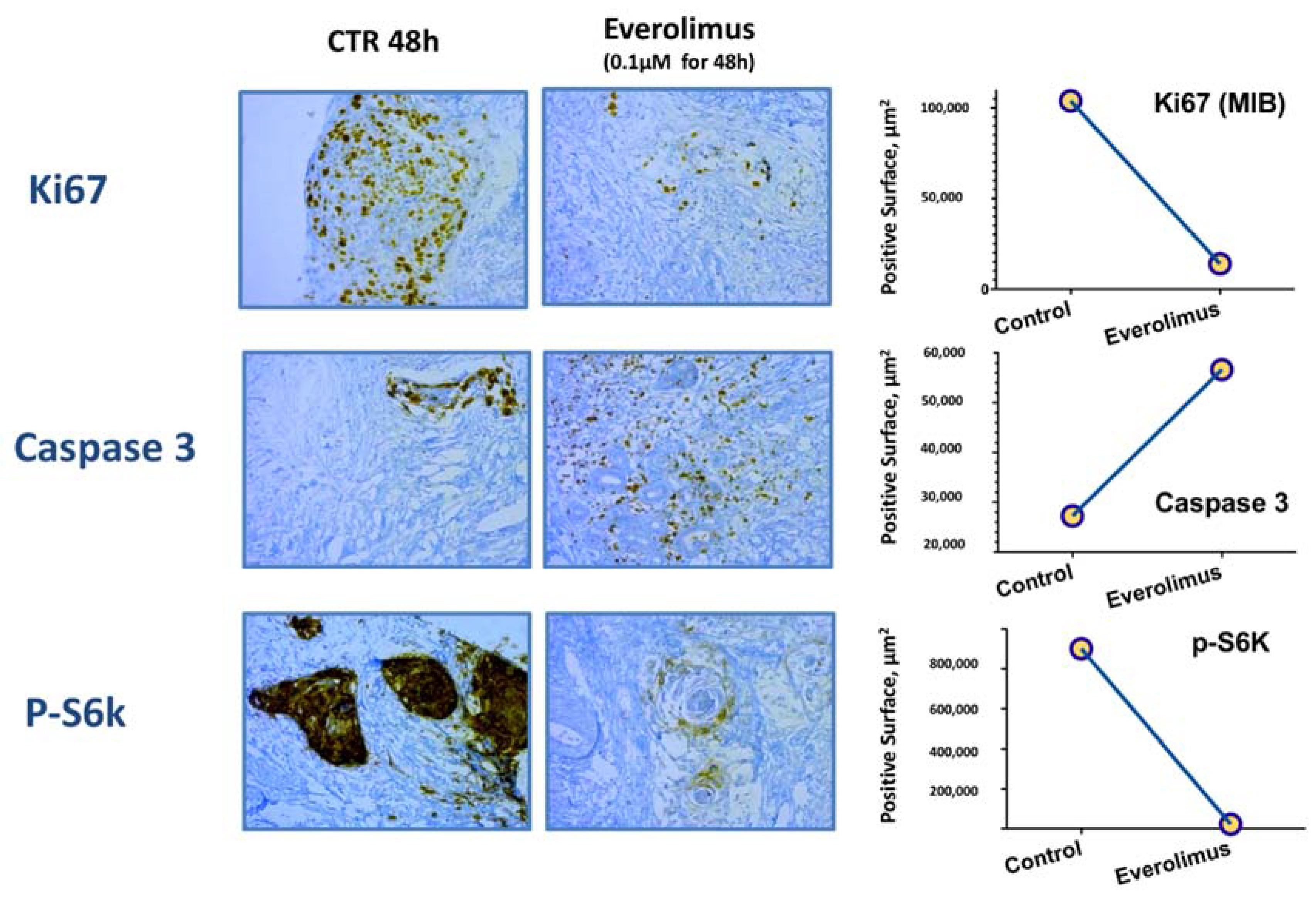 Cancers 14 04509 g004
