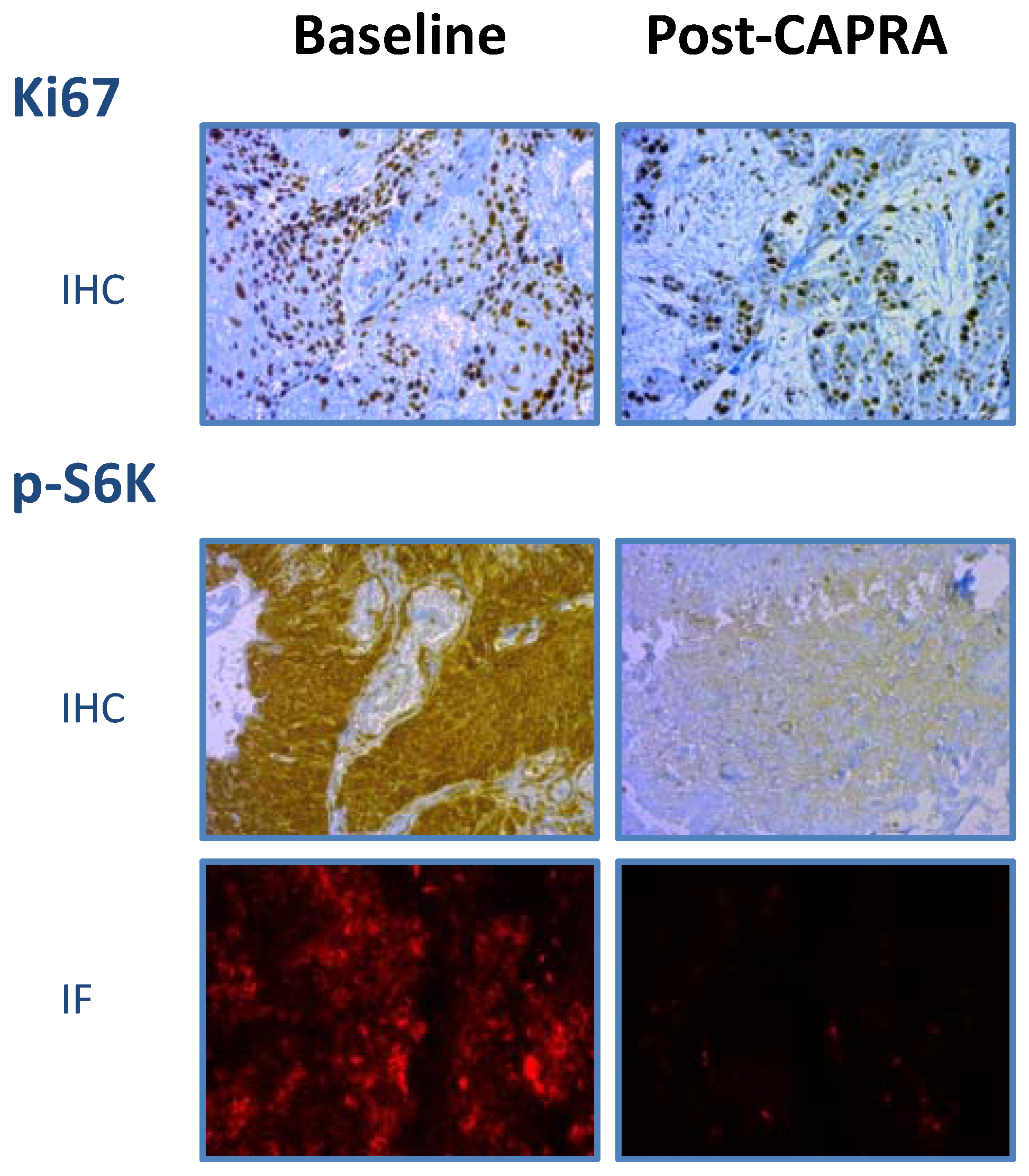 Cancers 14 04509 g005