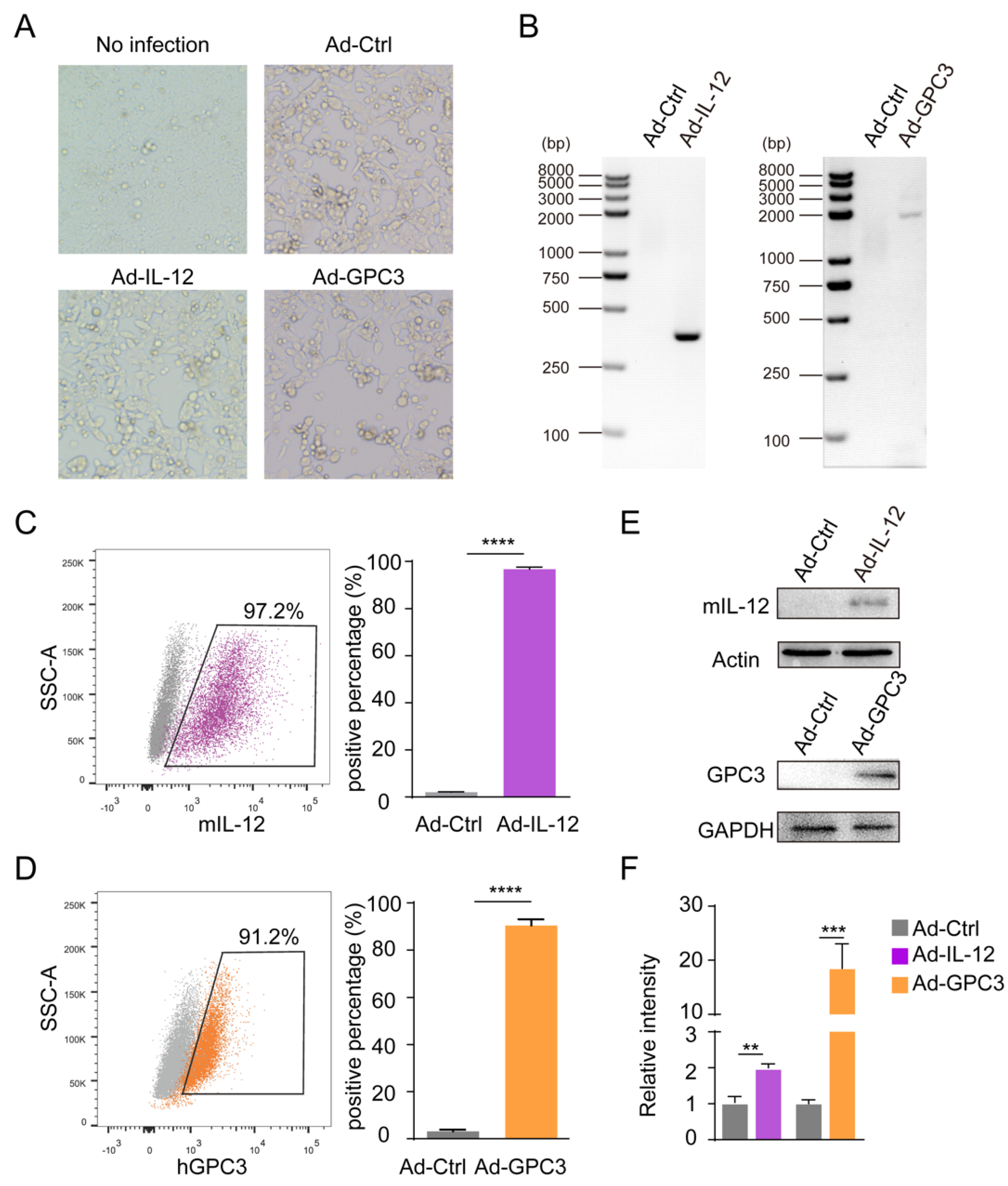 Cancers 14 04512 g001 Cancers 14 04512 g001