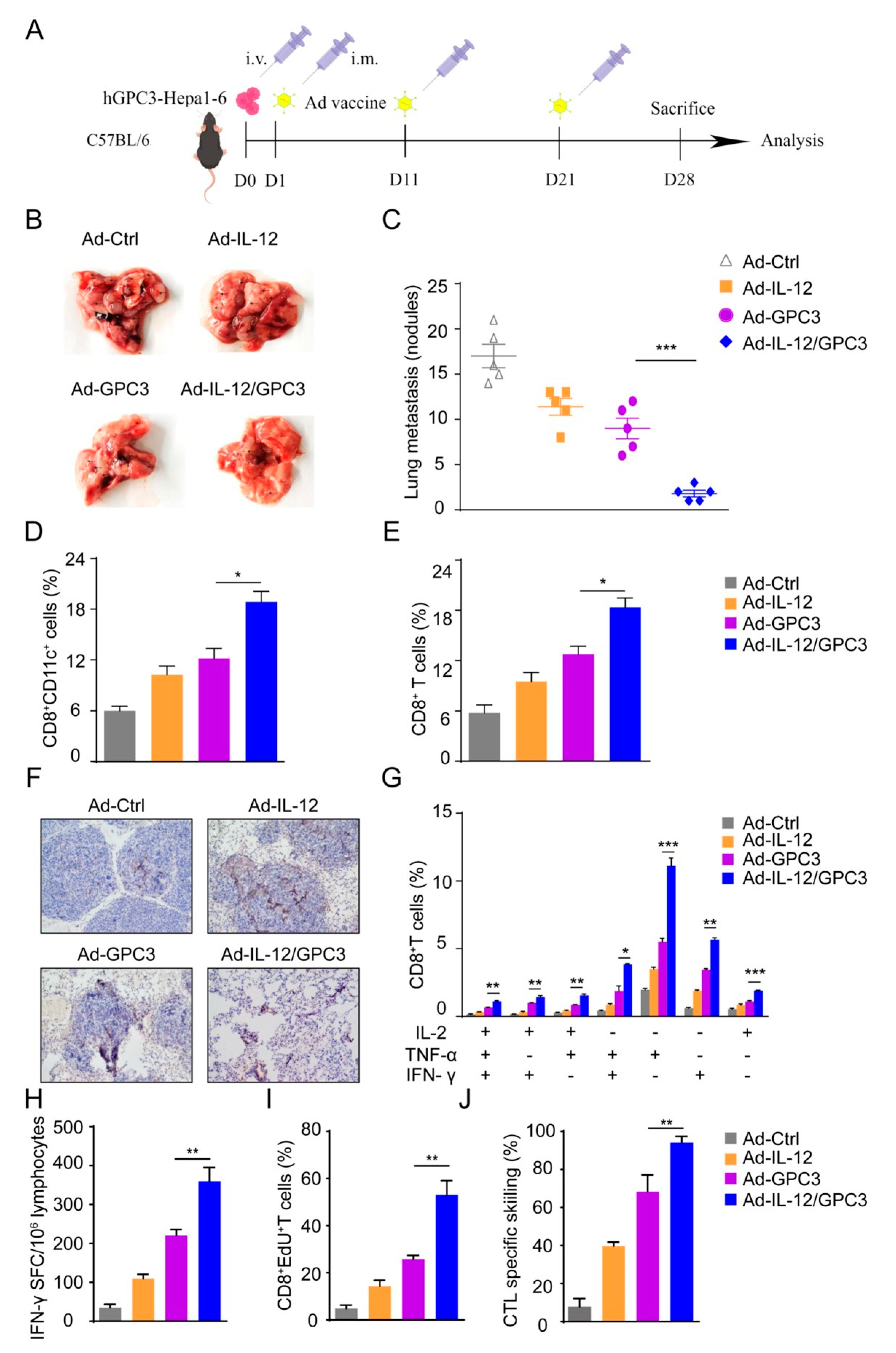 Cancers 14 04512 g006 Cancers 14 04512 g006