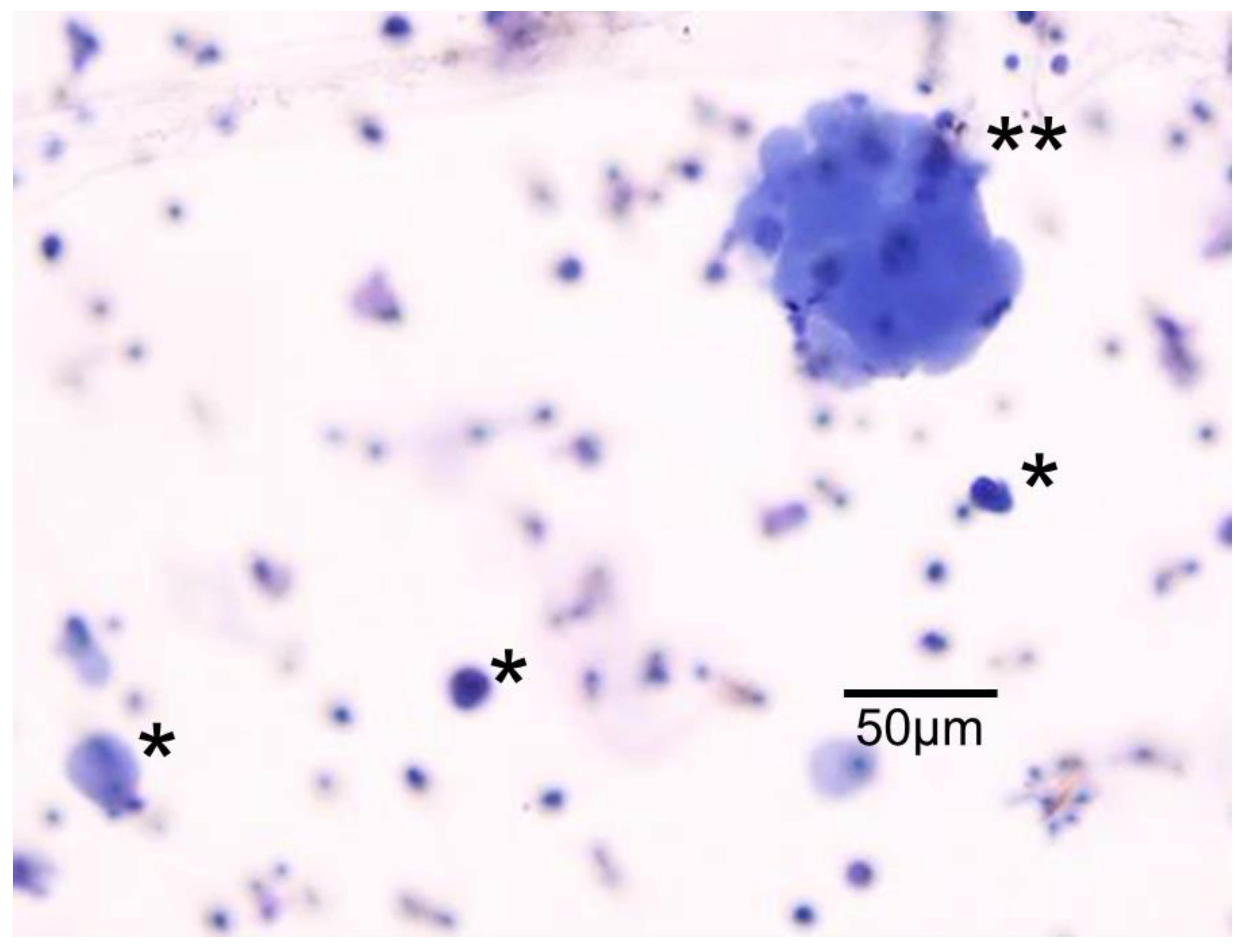 Cancers 14 04514 g001