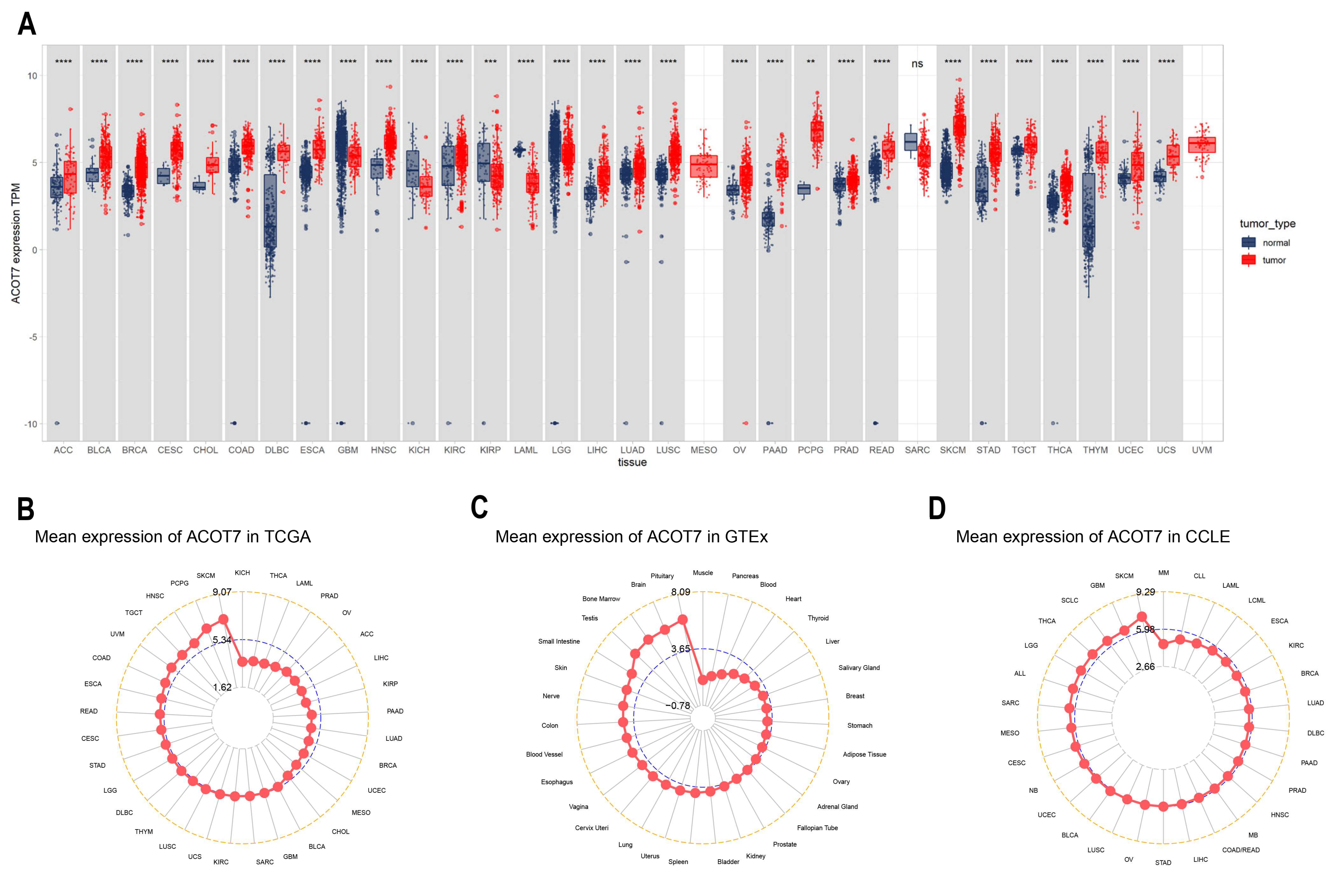 Cancers 14 04522 g001 Cancers 14 04522 g001