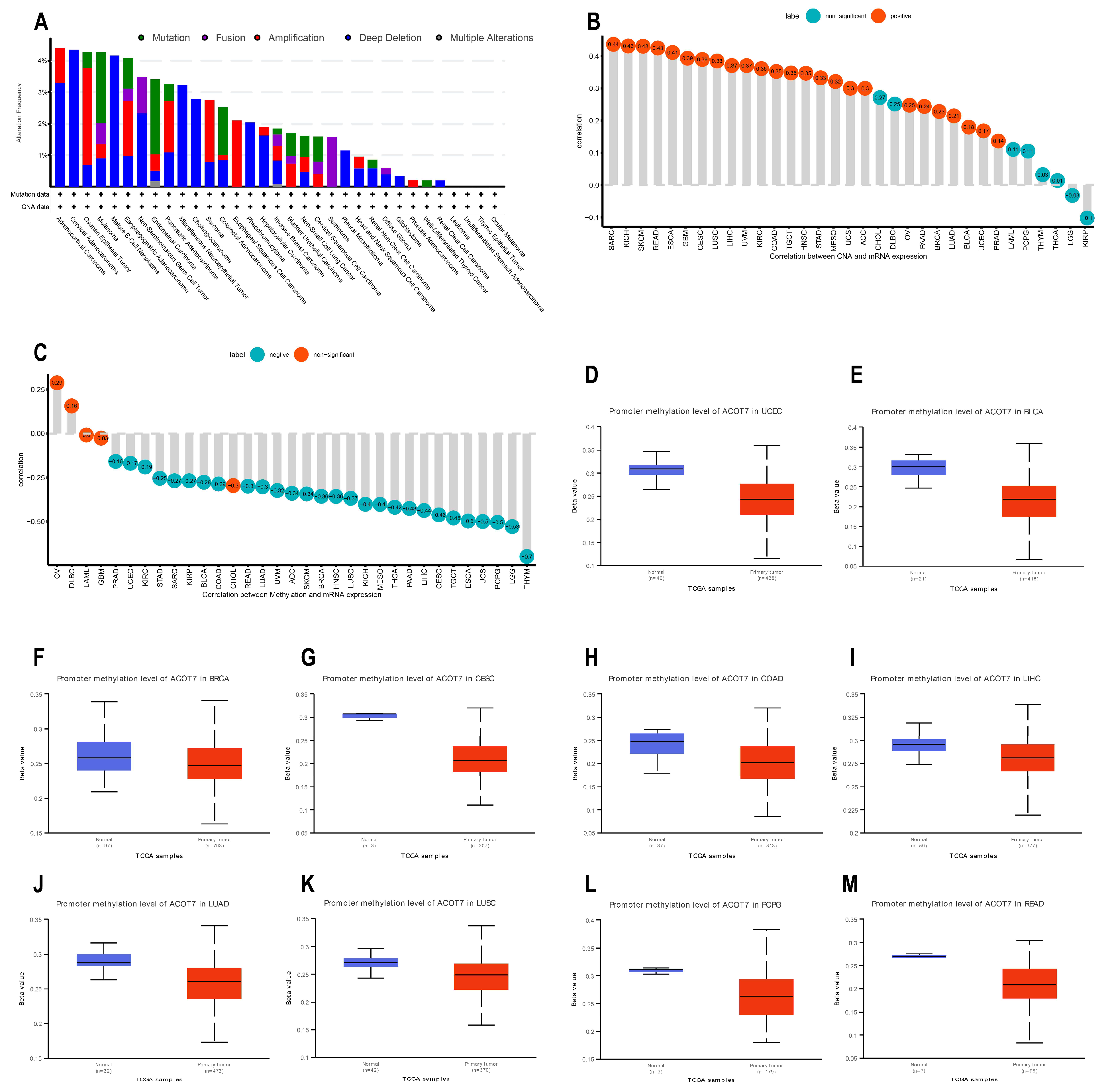 Cancers 14 04522 g004 Cancers 14 04522 g004