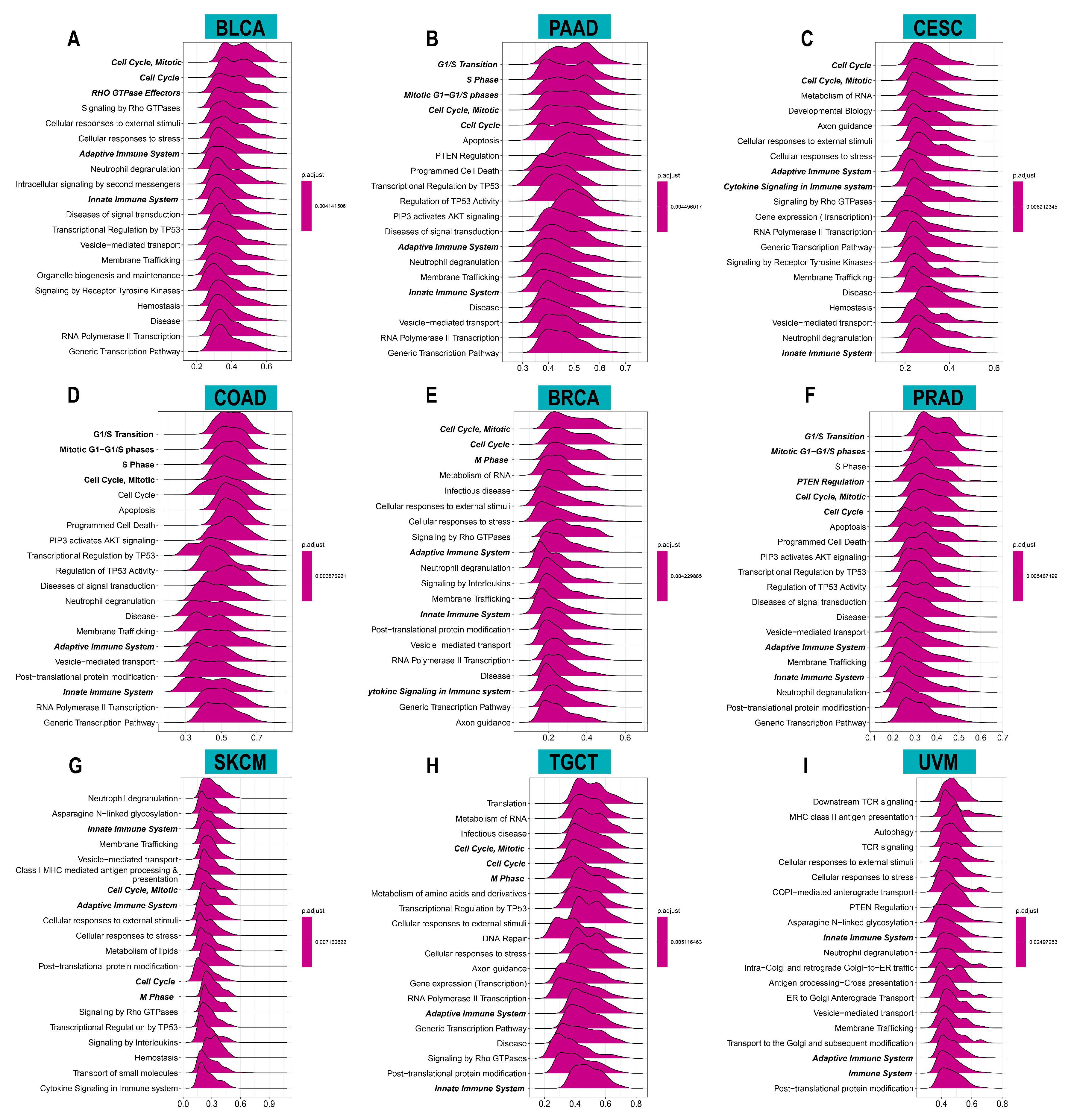 Cancers 14 04522 g005 Cancers 14 04522 g005