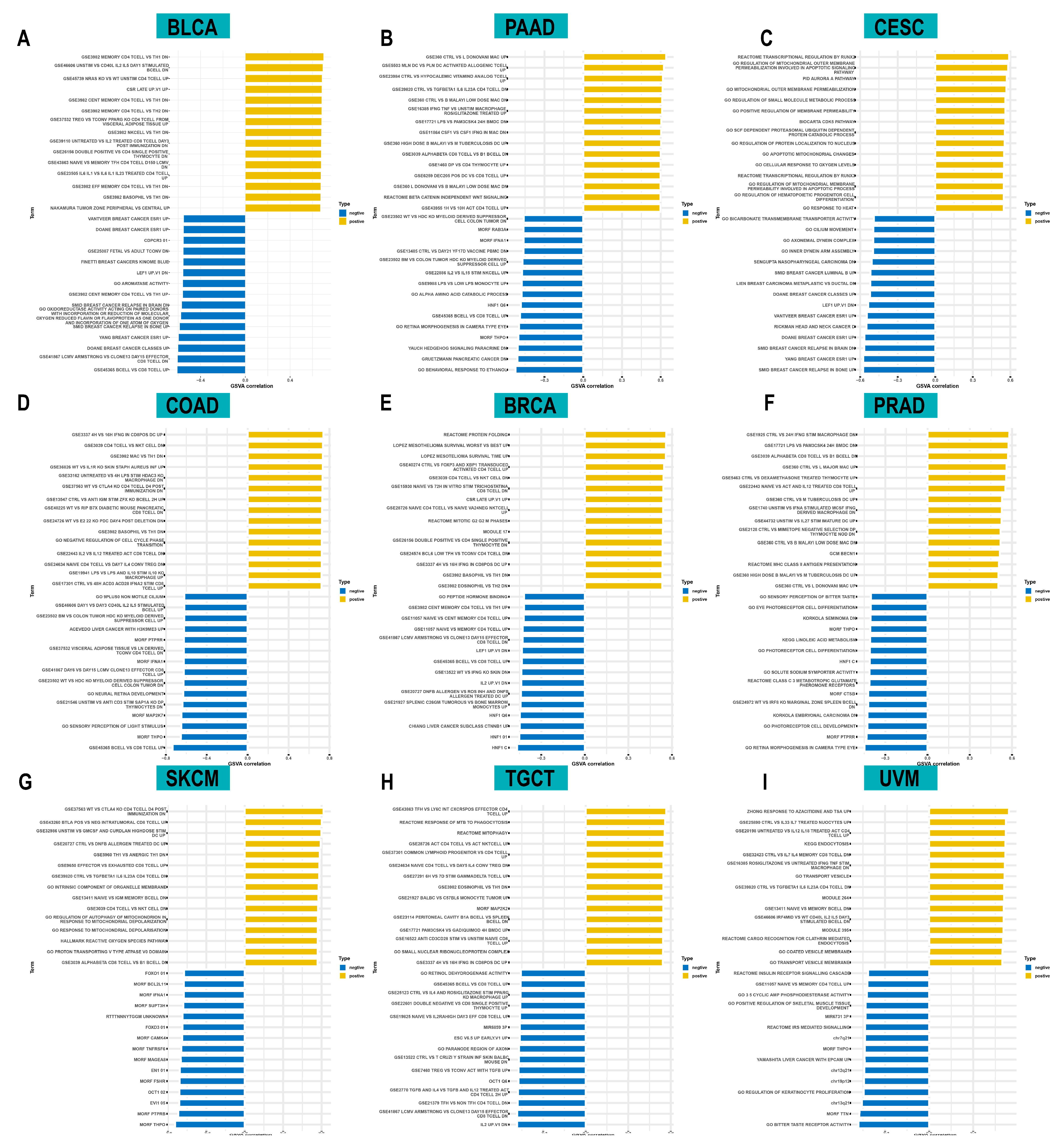 Cancers 14 04522 g006 Cancers 14 04522 g006