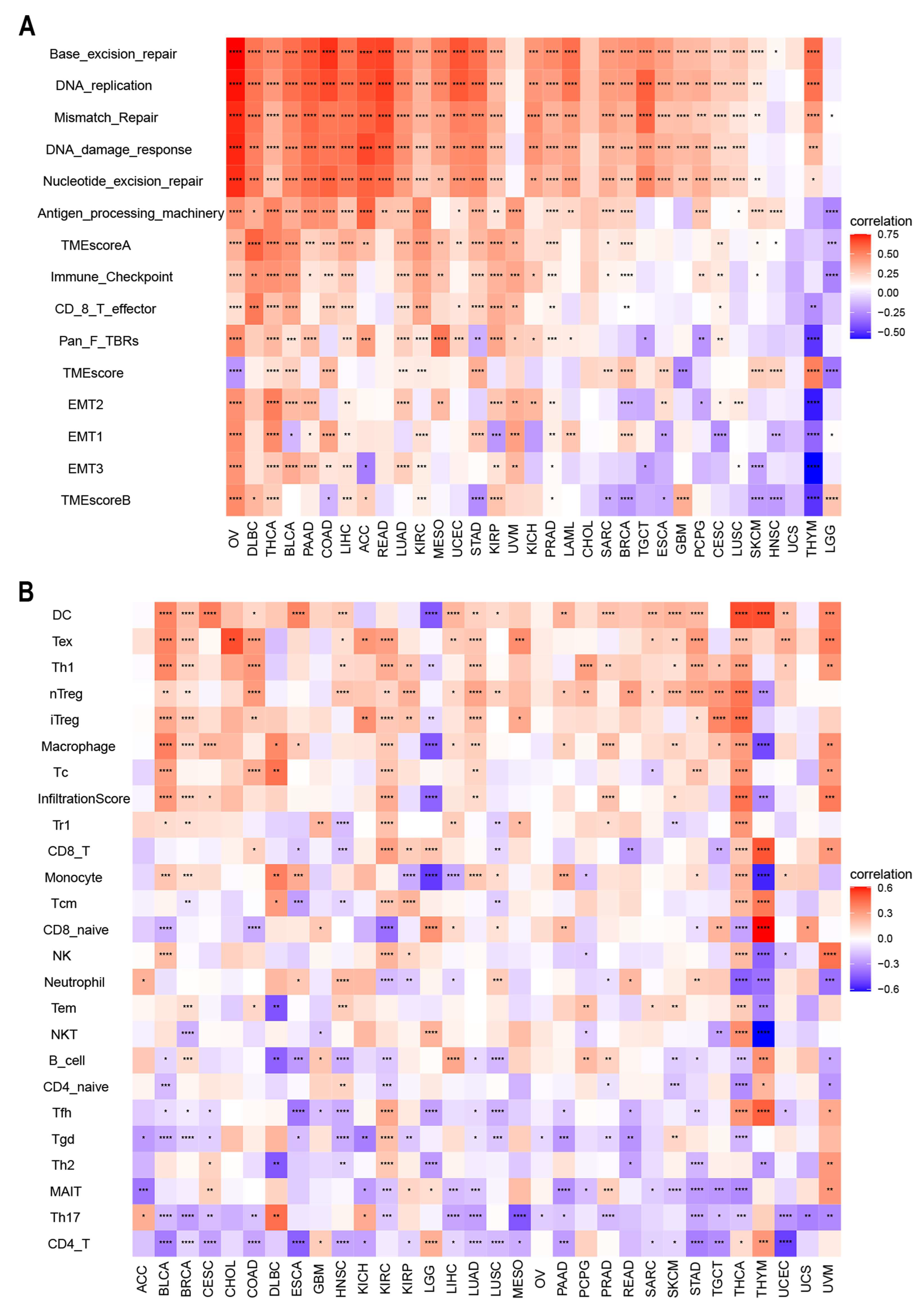 Cancers 14 04522 g007 Cancers 14 04522 g007