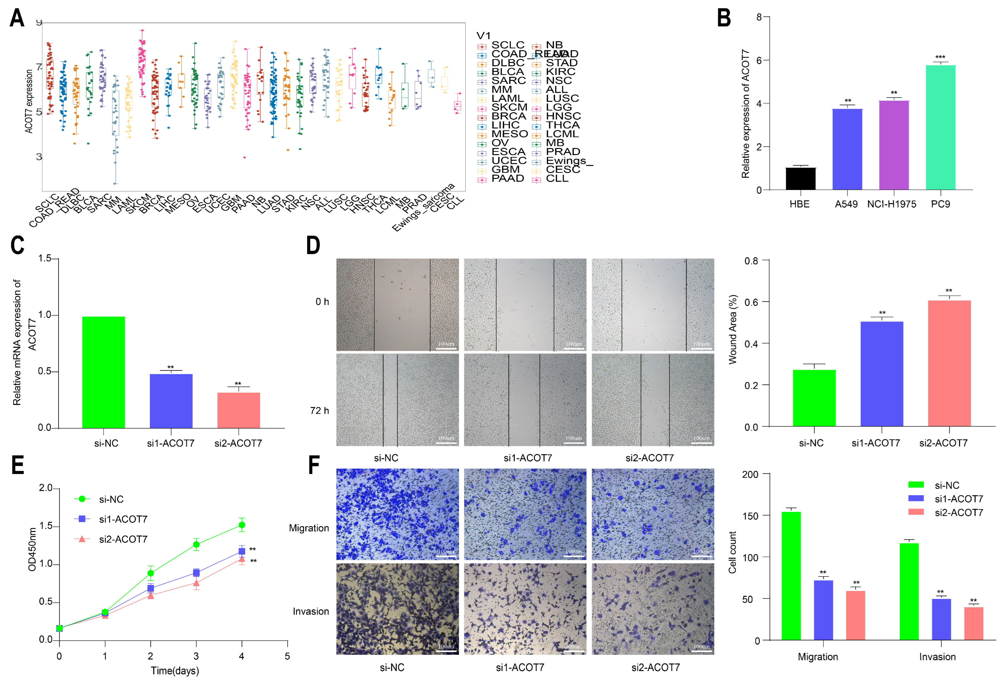Cancers 14 04522 g011 Cancers 14 04522 g011