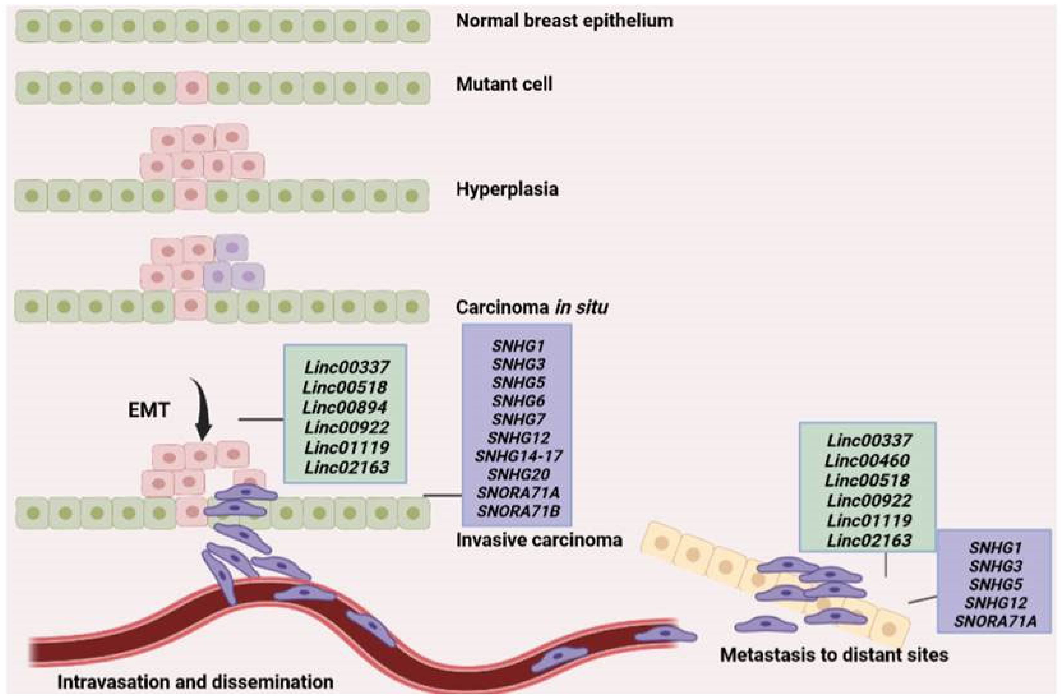 Cancers 14 04528 g001