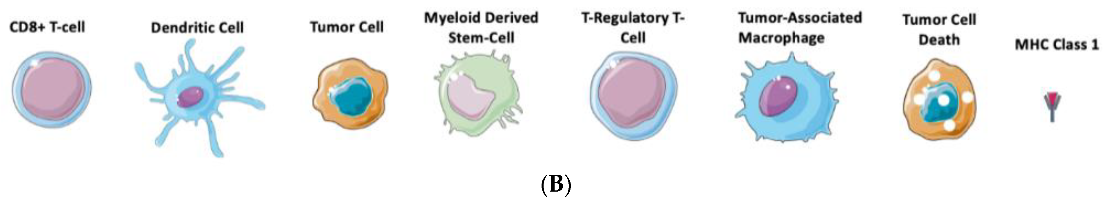 Cancers 14 04530 g001b 550