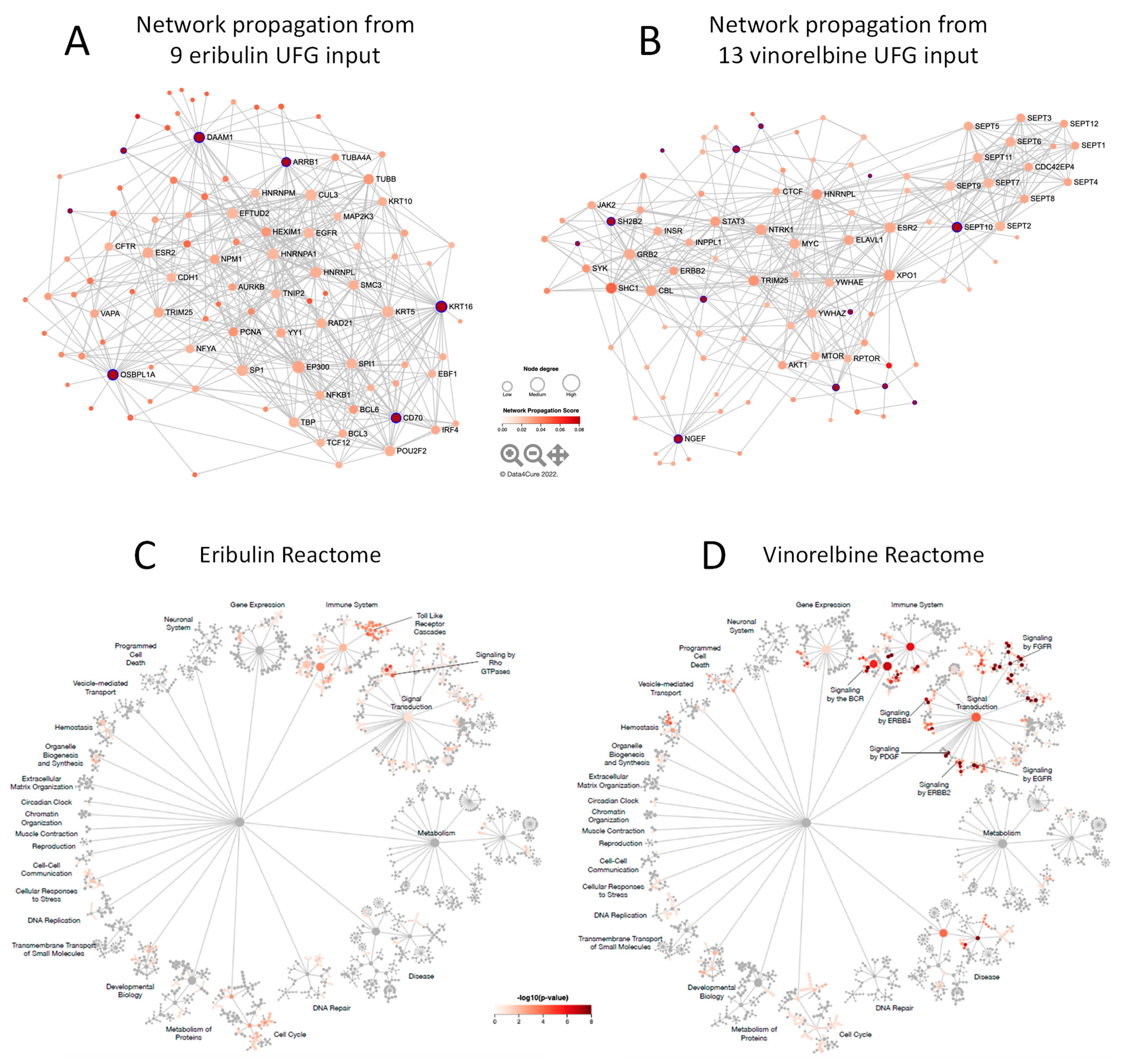 Cancers 14 04532 g004a Cancers 14 04532 g004a