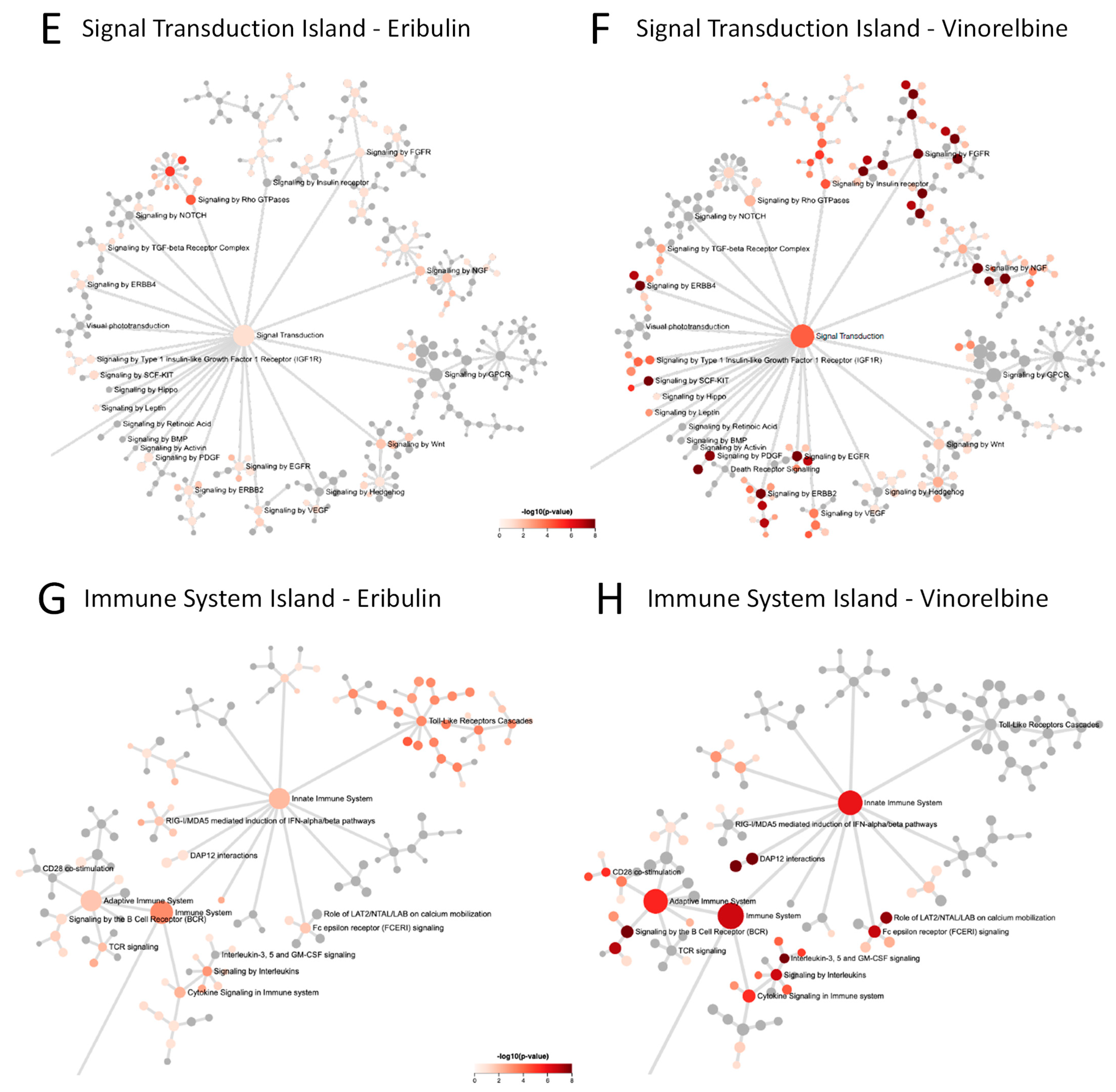 Cancers 14 04532 g004b Cancers 14 04532 g004b