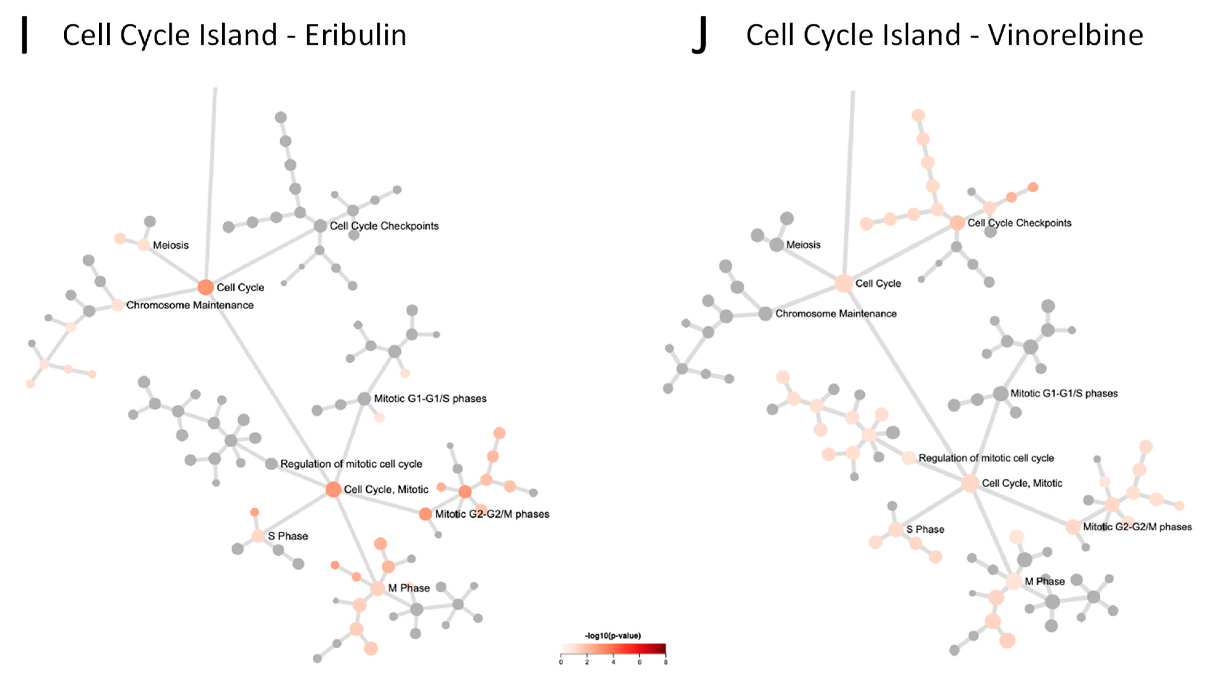 Cancers 14 04532 g004c Cancers 14 04532 g004c
