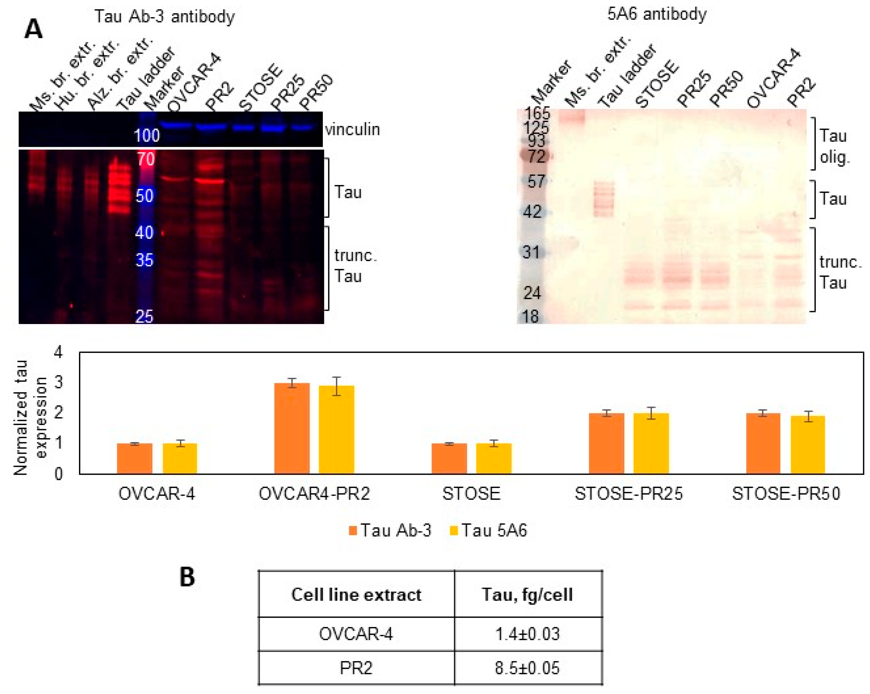 Cancers 14 04535 g001 Cancers 14 04535 g001