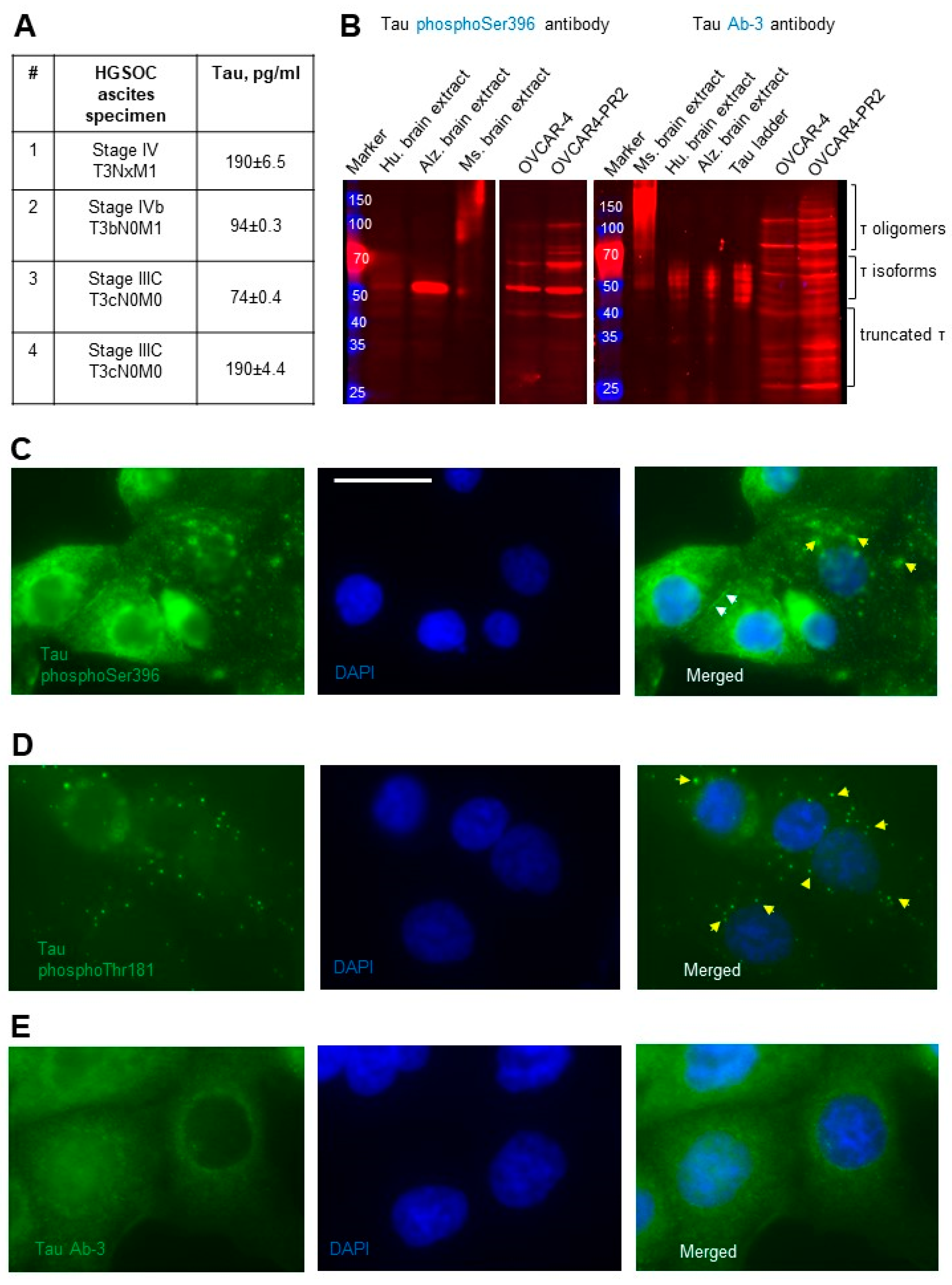 Cancers 14 04535 g002 Cancers 14 04535 g002