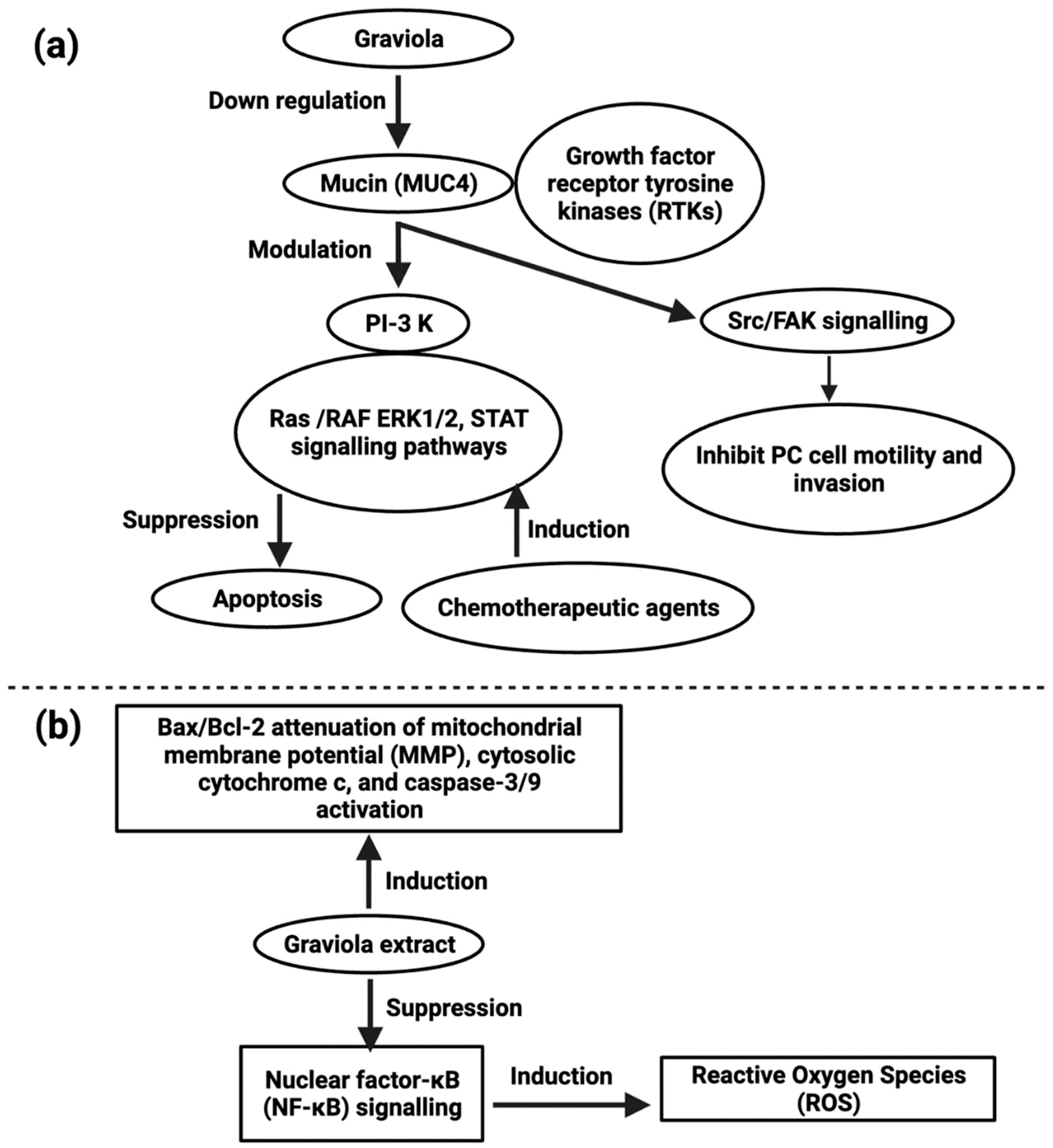Cancers 14 04539 g004