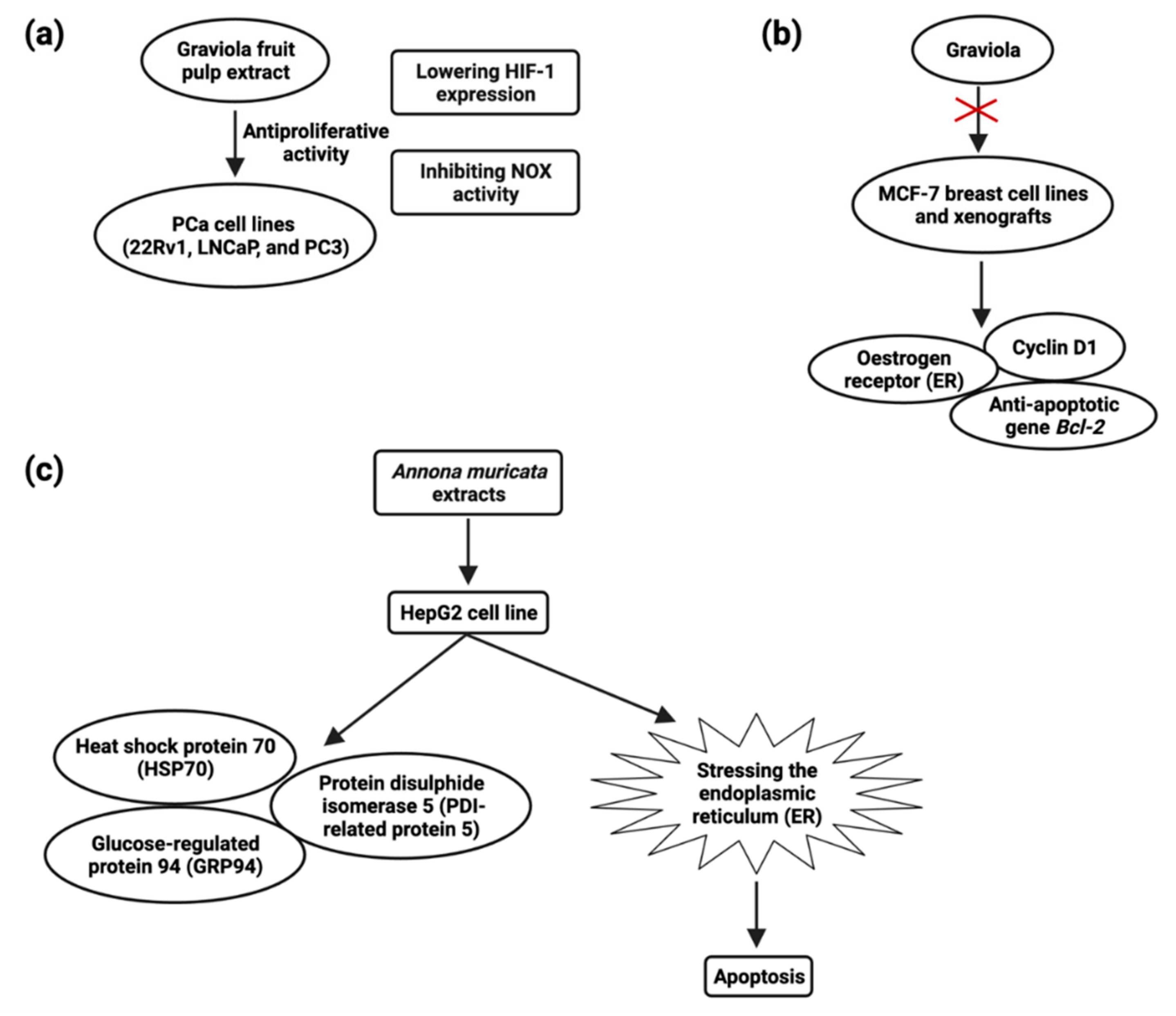 Cancers 14 04539 g005