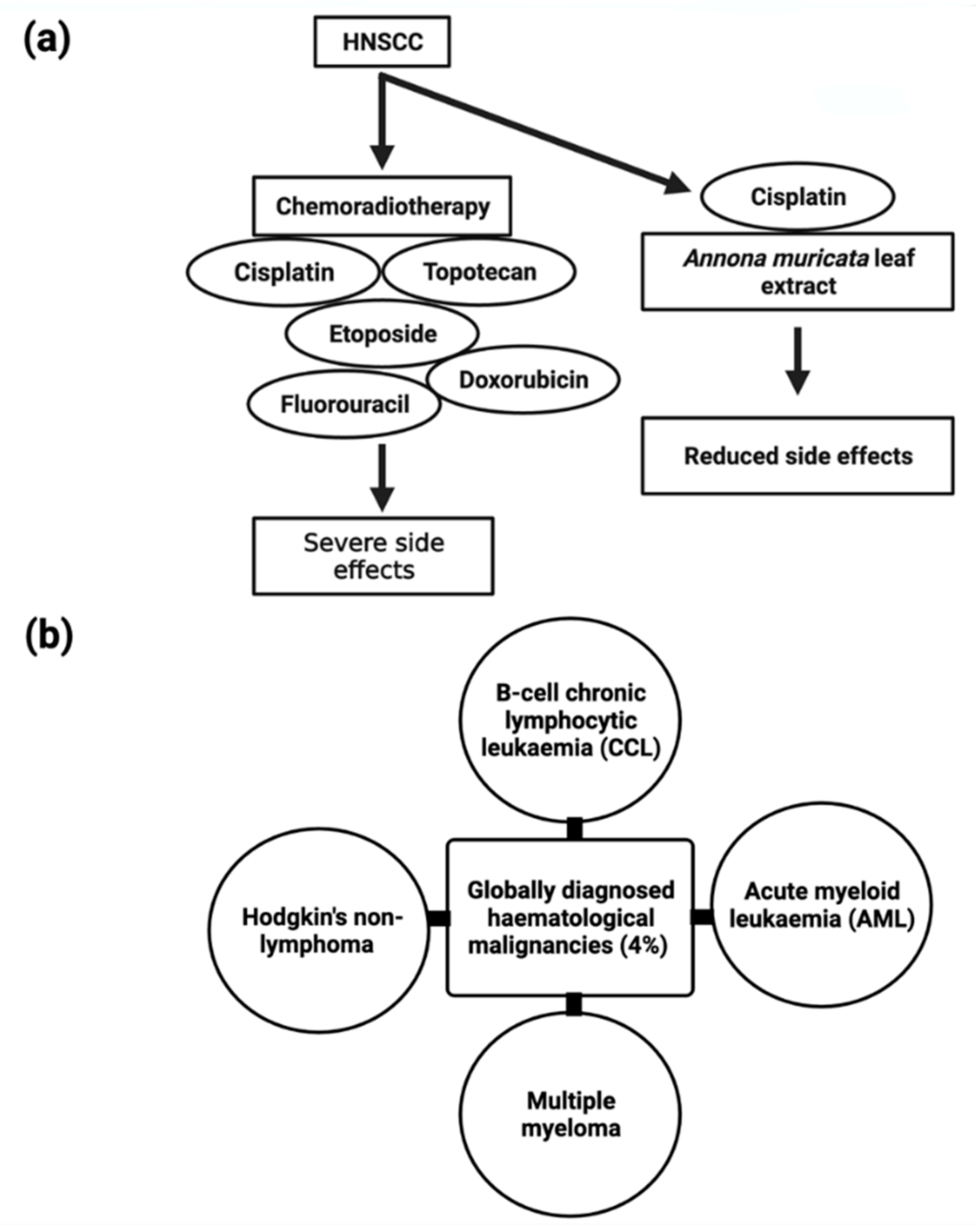 Cancers 14 04539 g007