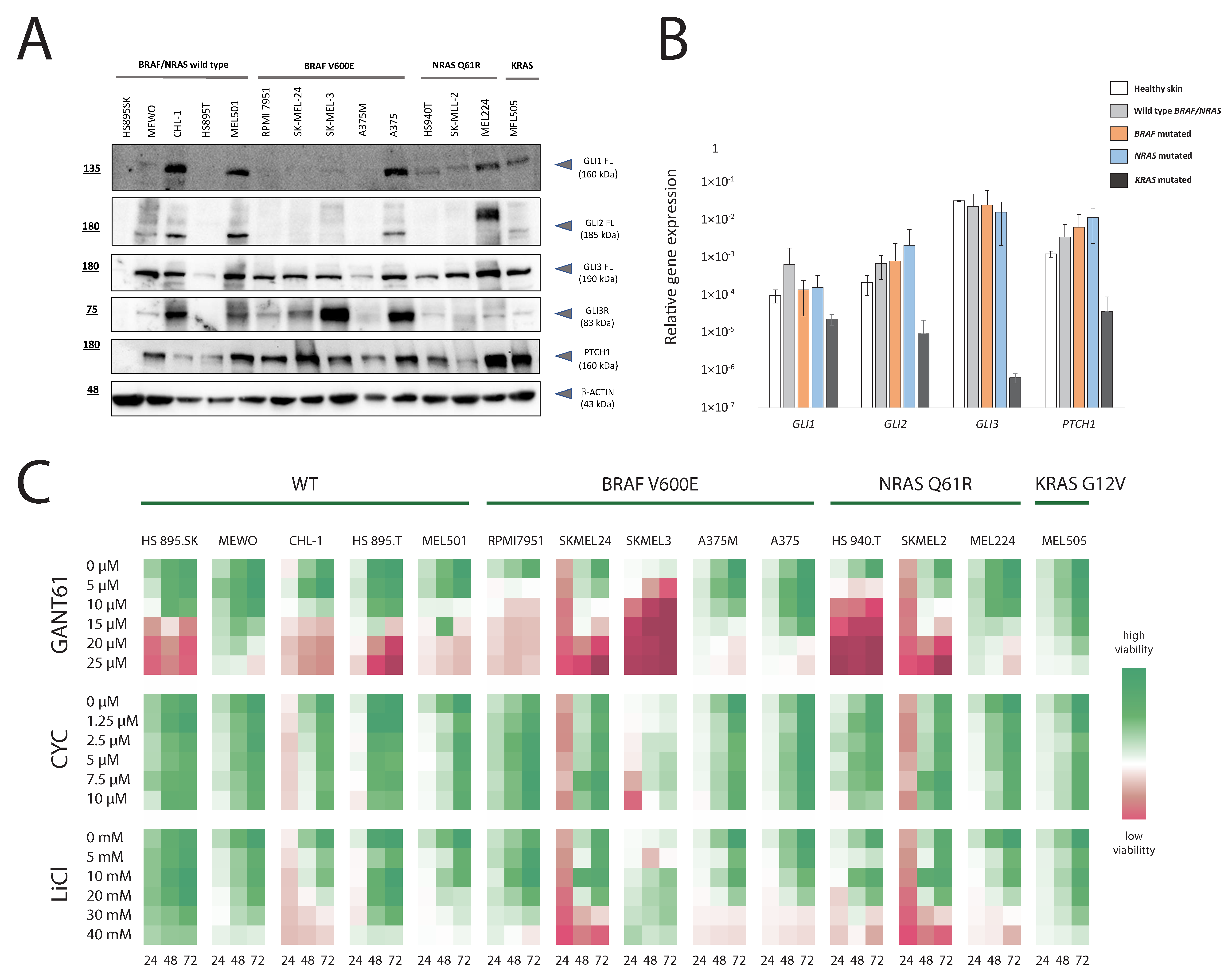 Cancers 14 04540 g001