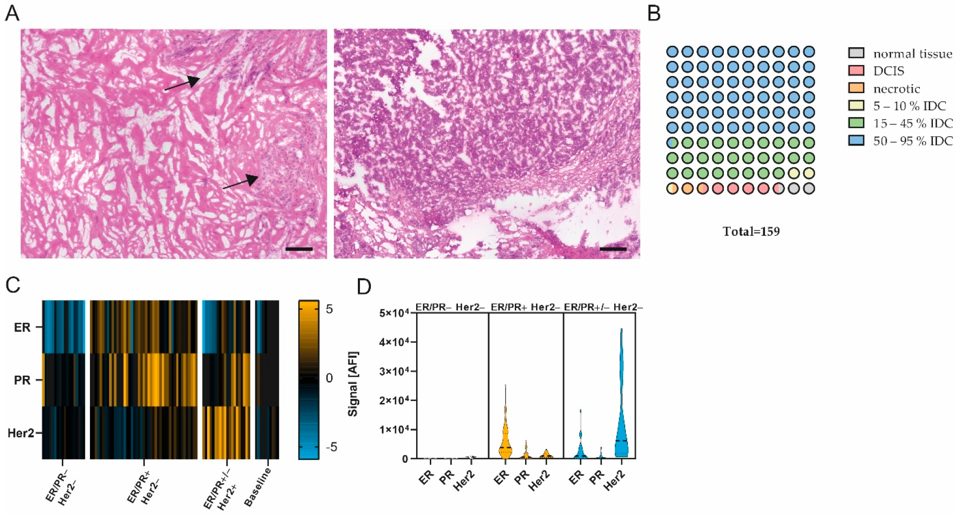 Cancers 14 04542 g001