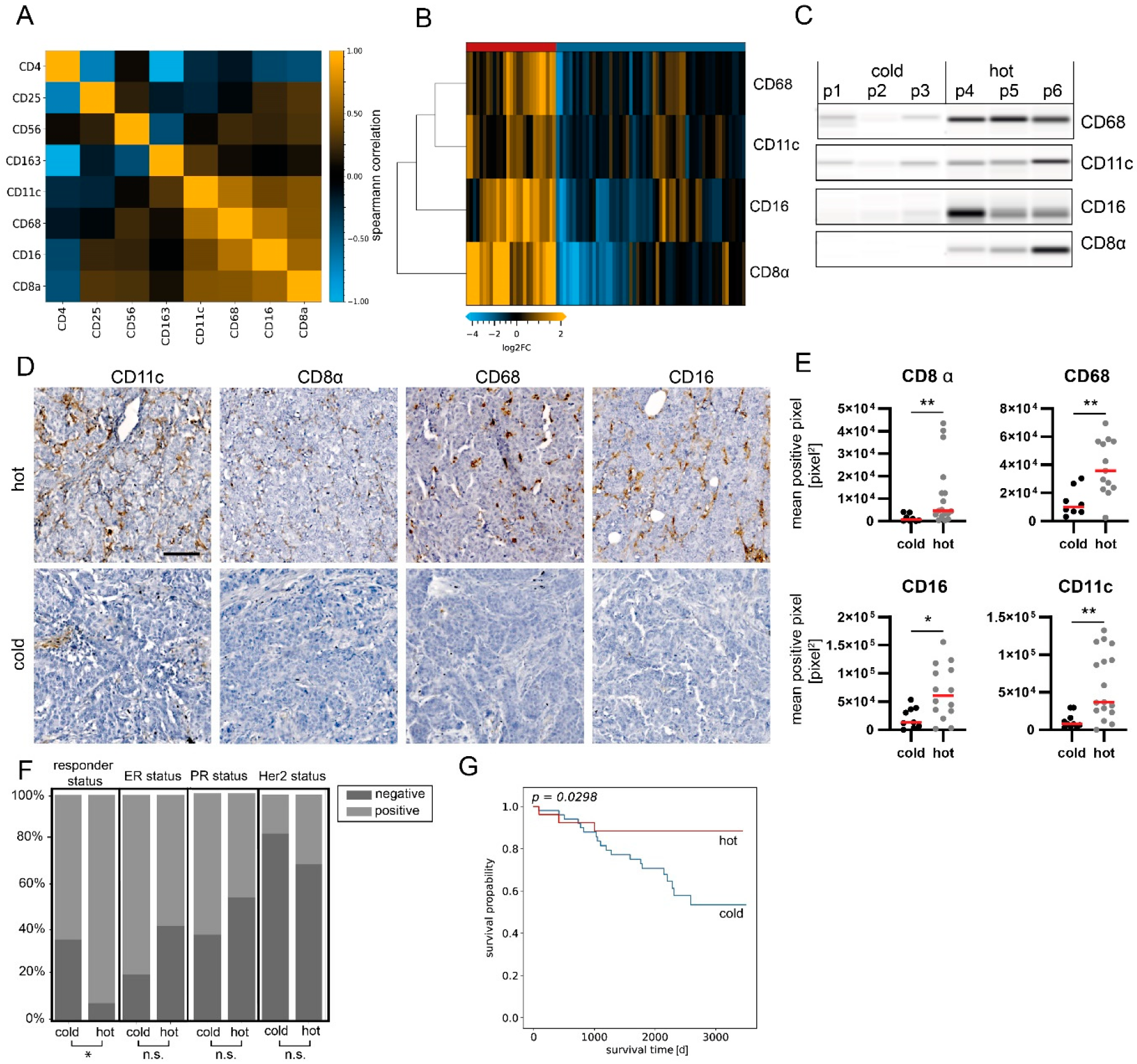 Cancers 14 04542 g003