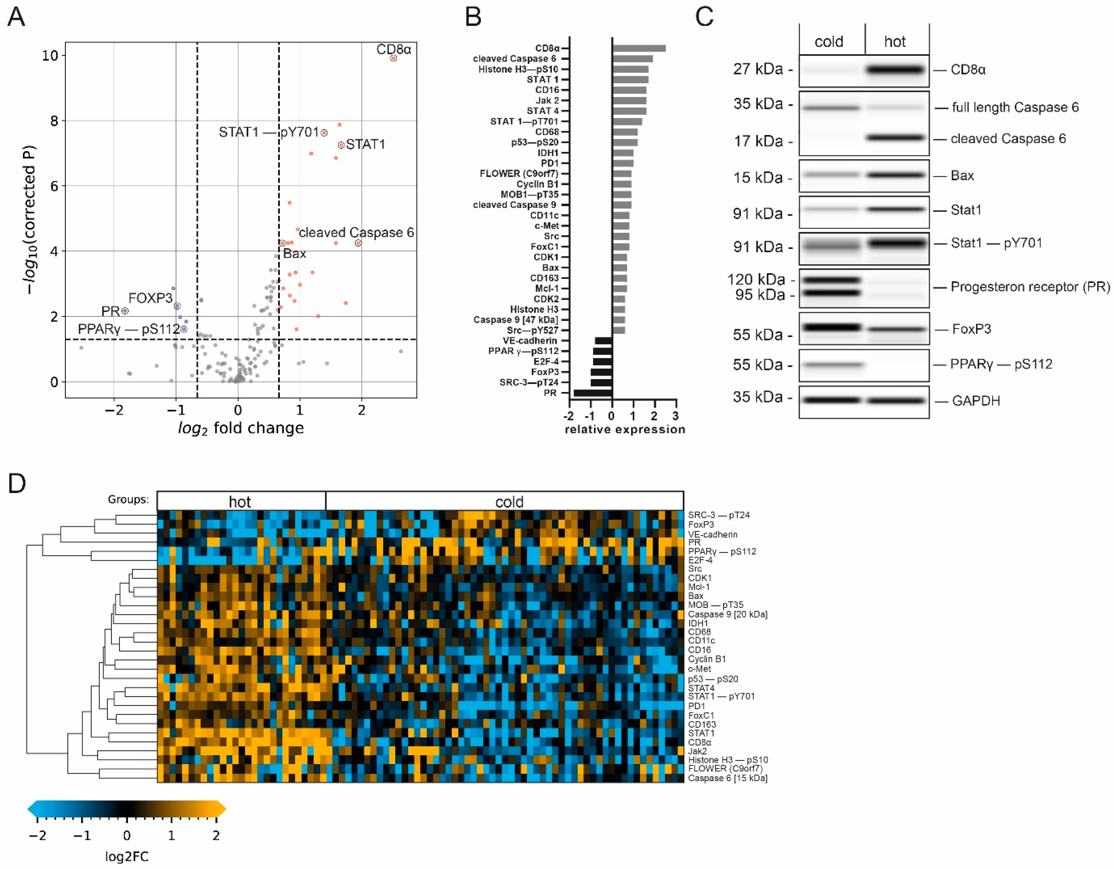 Cancers 14 04542 g004