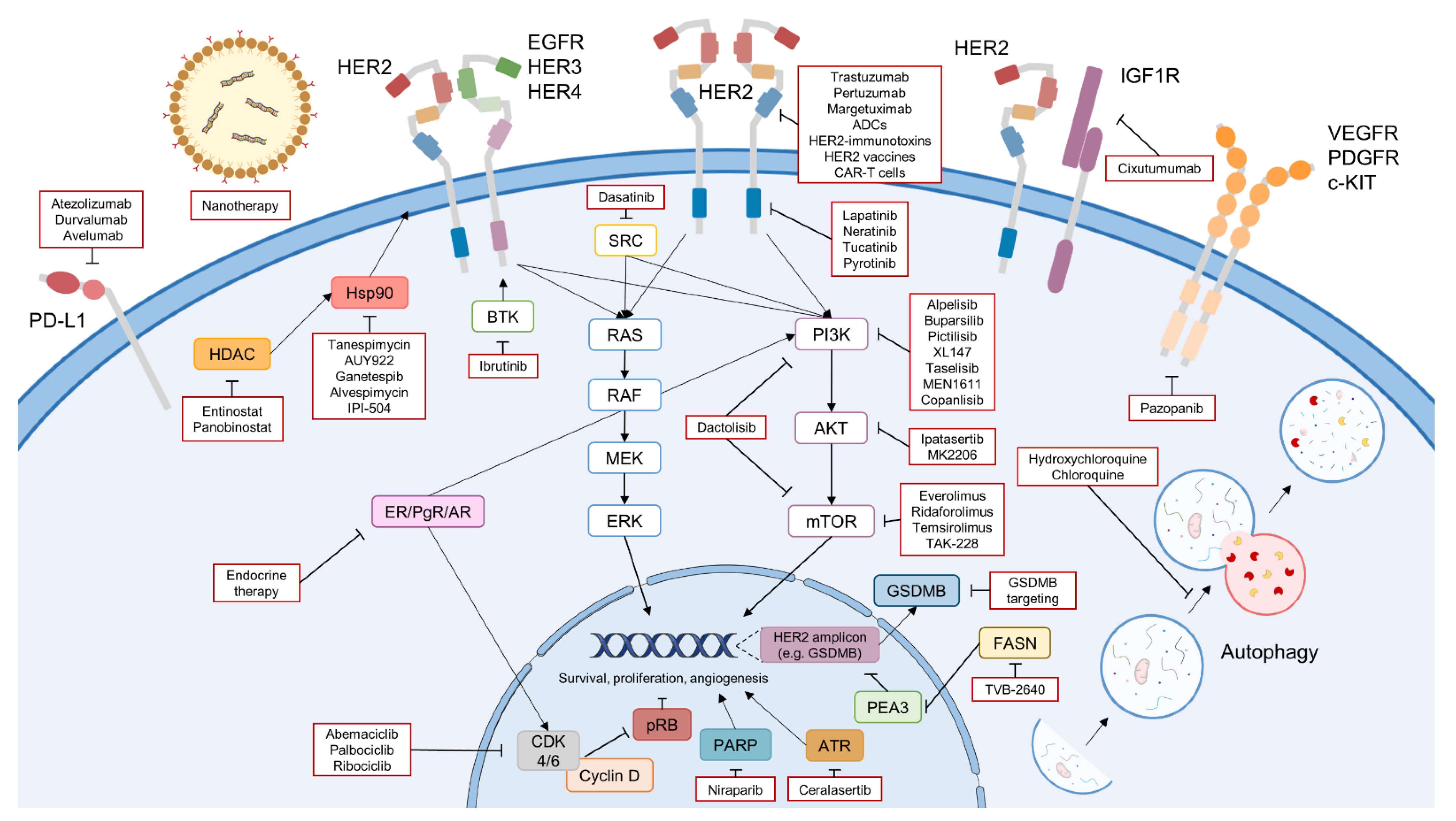 Cancers 14 04543 g002