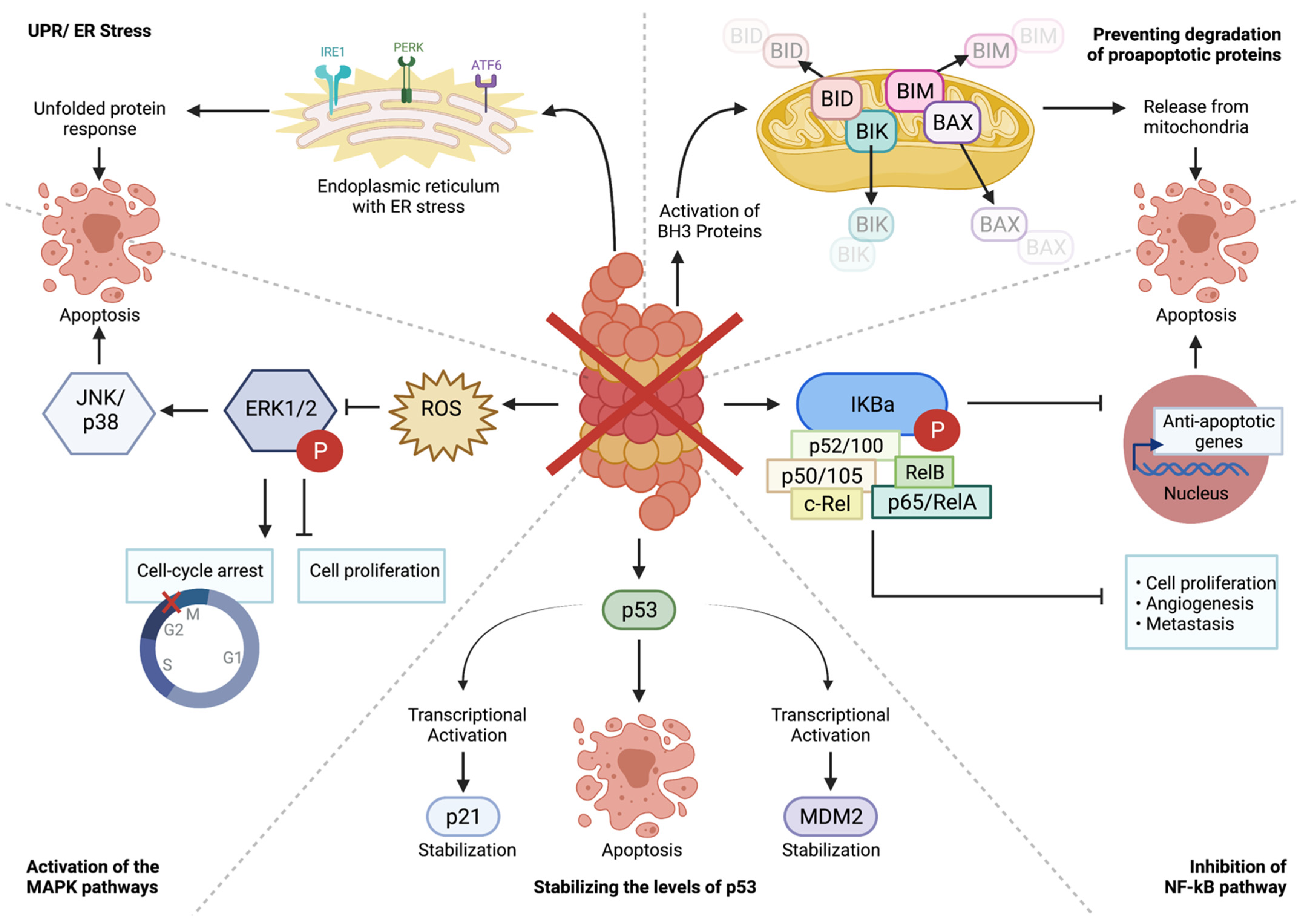 Cancers 14 04544 g002 Cancers 14 04544 g002
