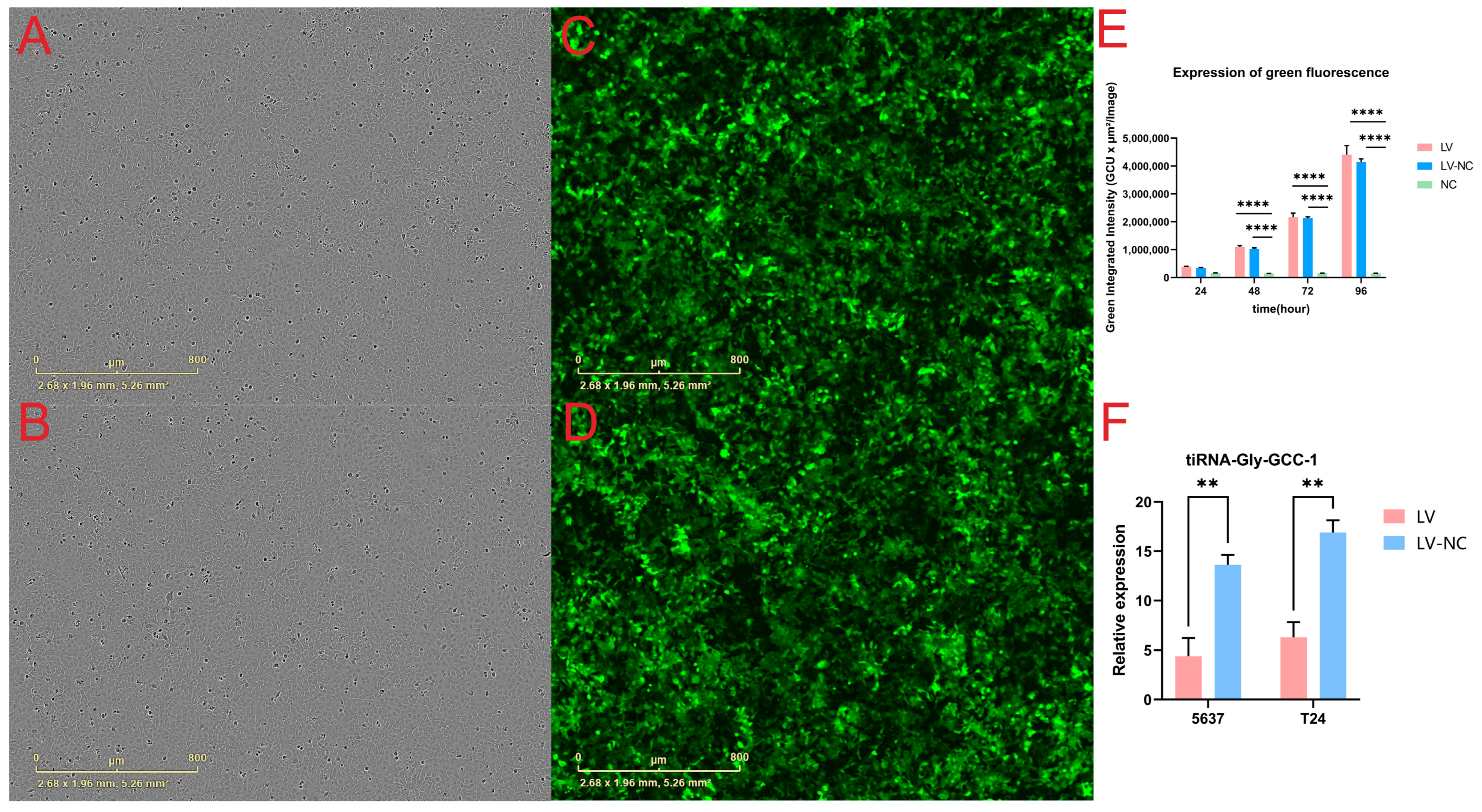 Cancers 14 04555 g001