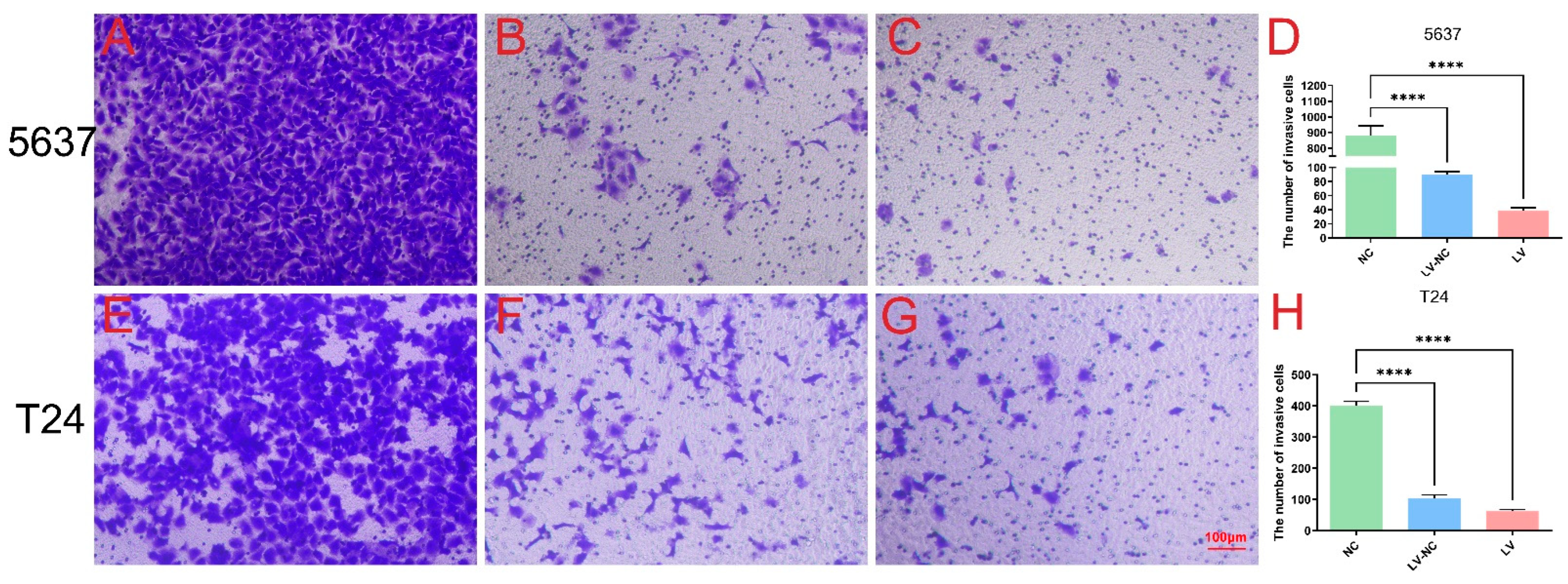 Cancers 14 04555 g003