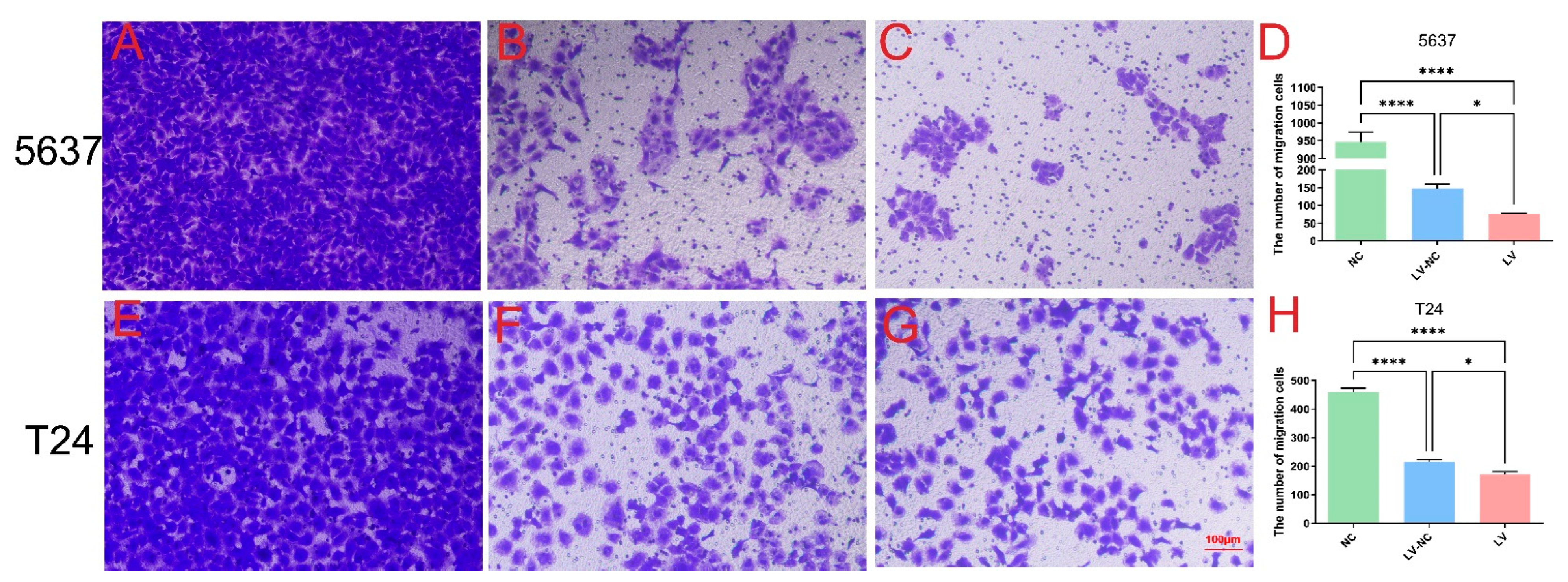 Cancers 14 04555 g004