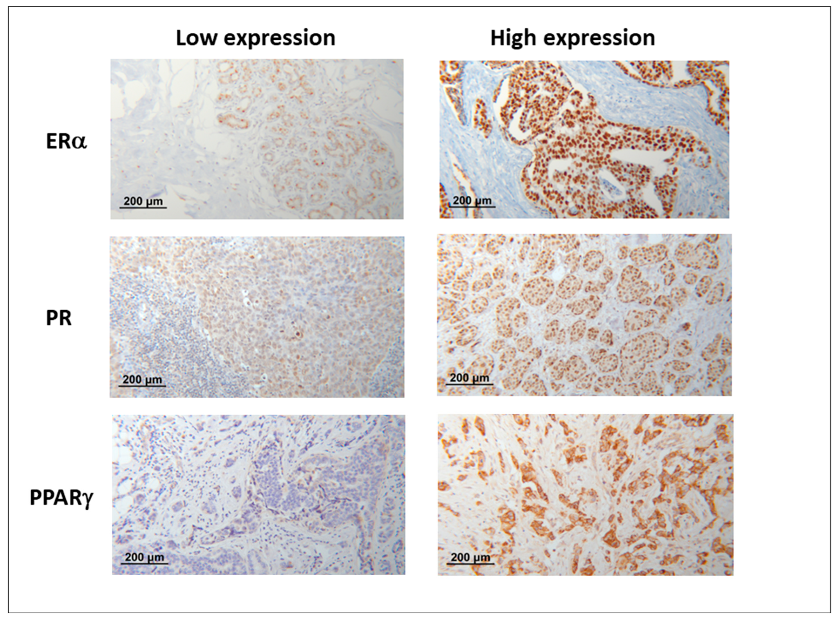 Cancers 14 04561 g001 Cancers 14 04561 g001