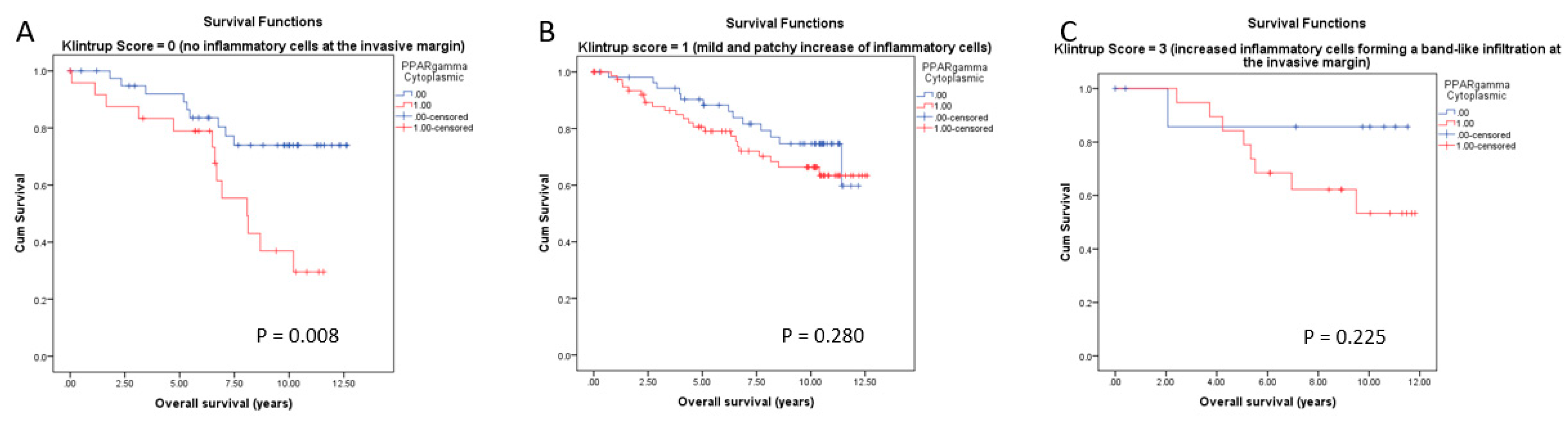 Cancers 14 04561 g011 Cancers 14 04561 g011