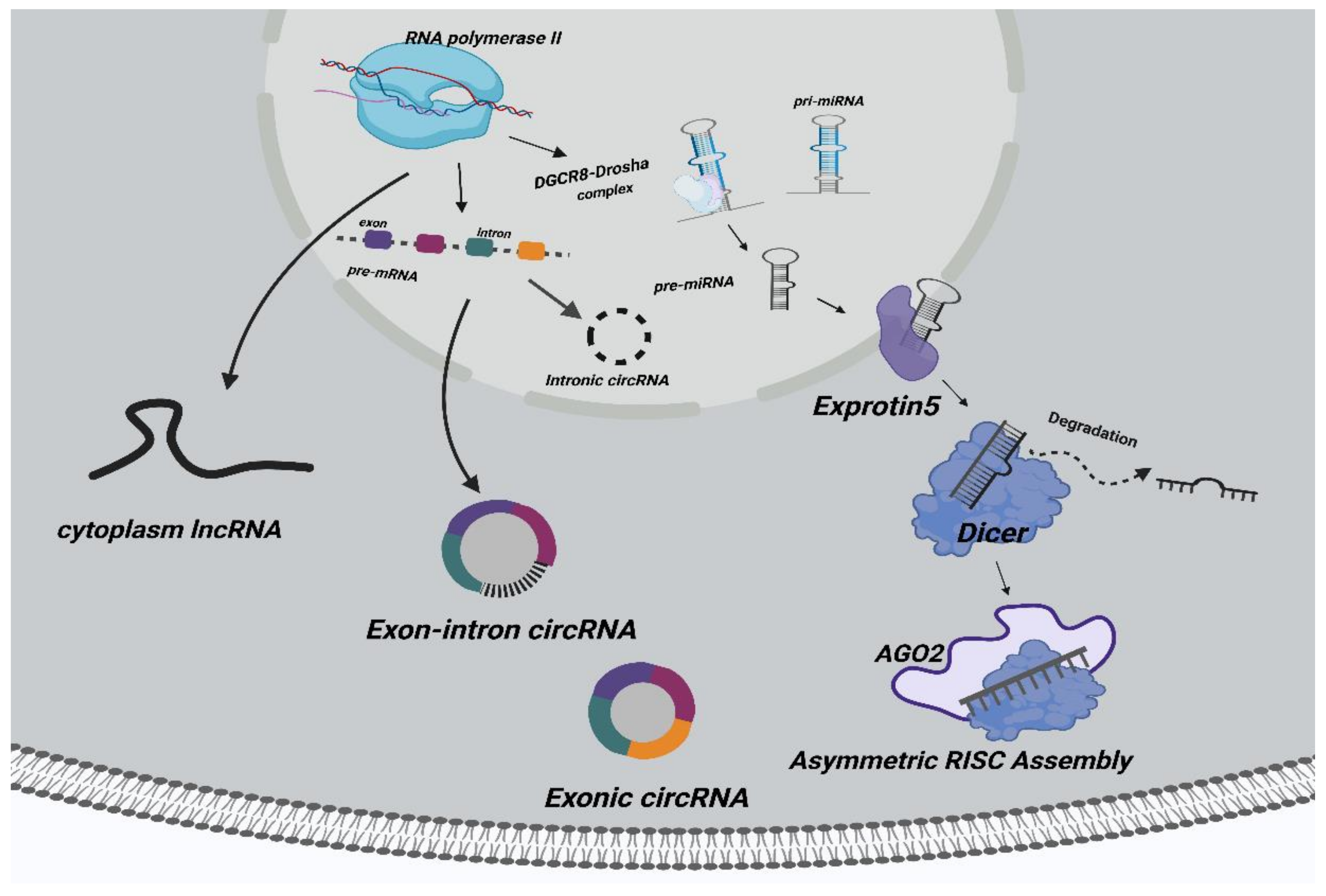 Cancers 14 04564 g001