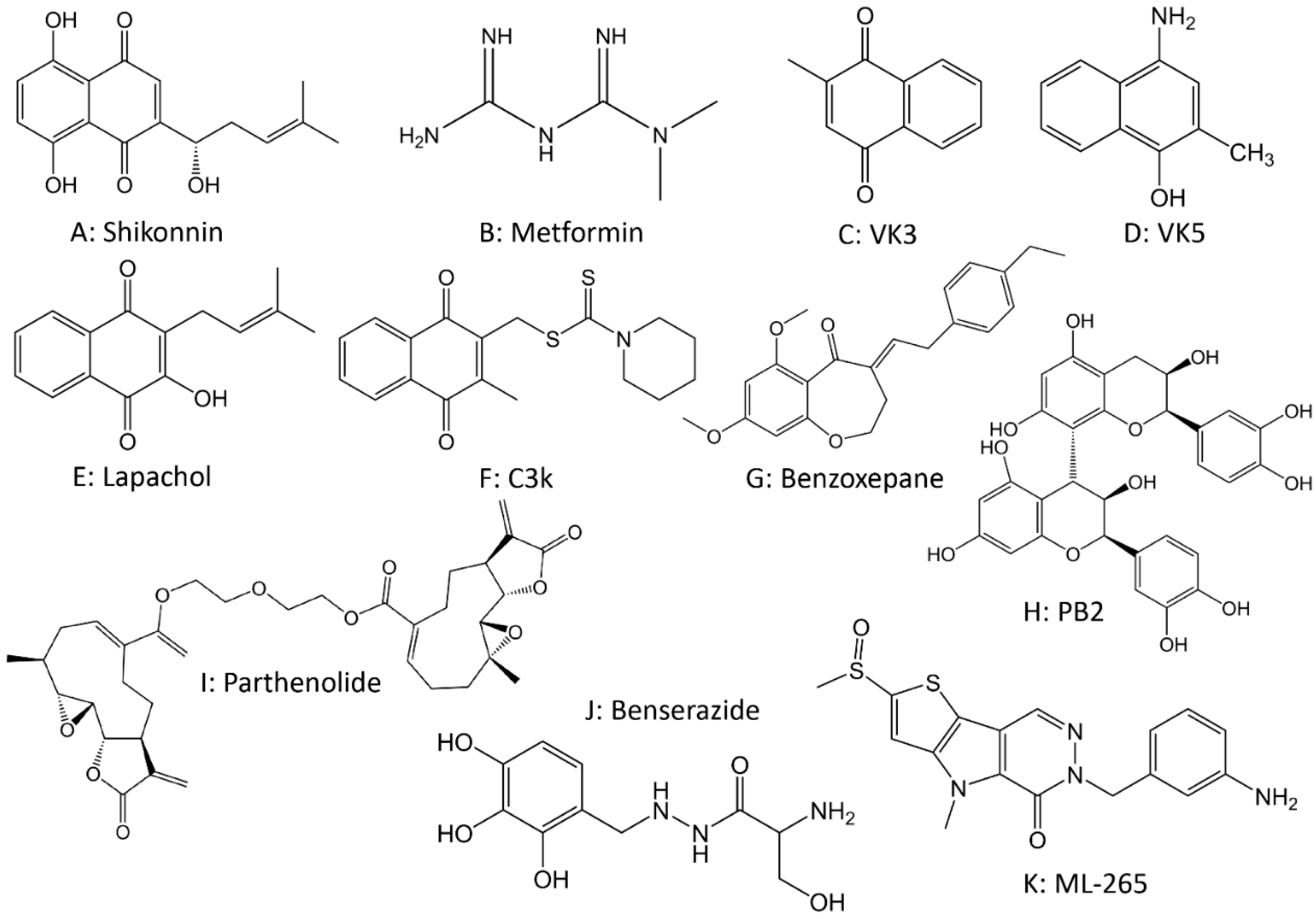 Cancers Free FullText Targeting Glucose Metabolism Enzymes in