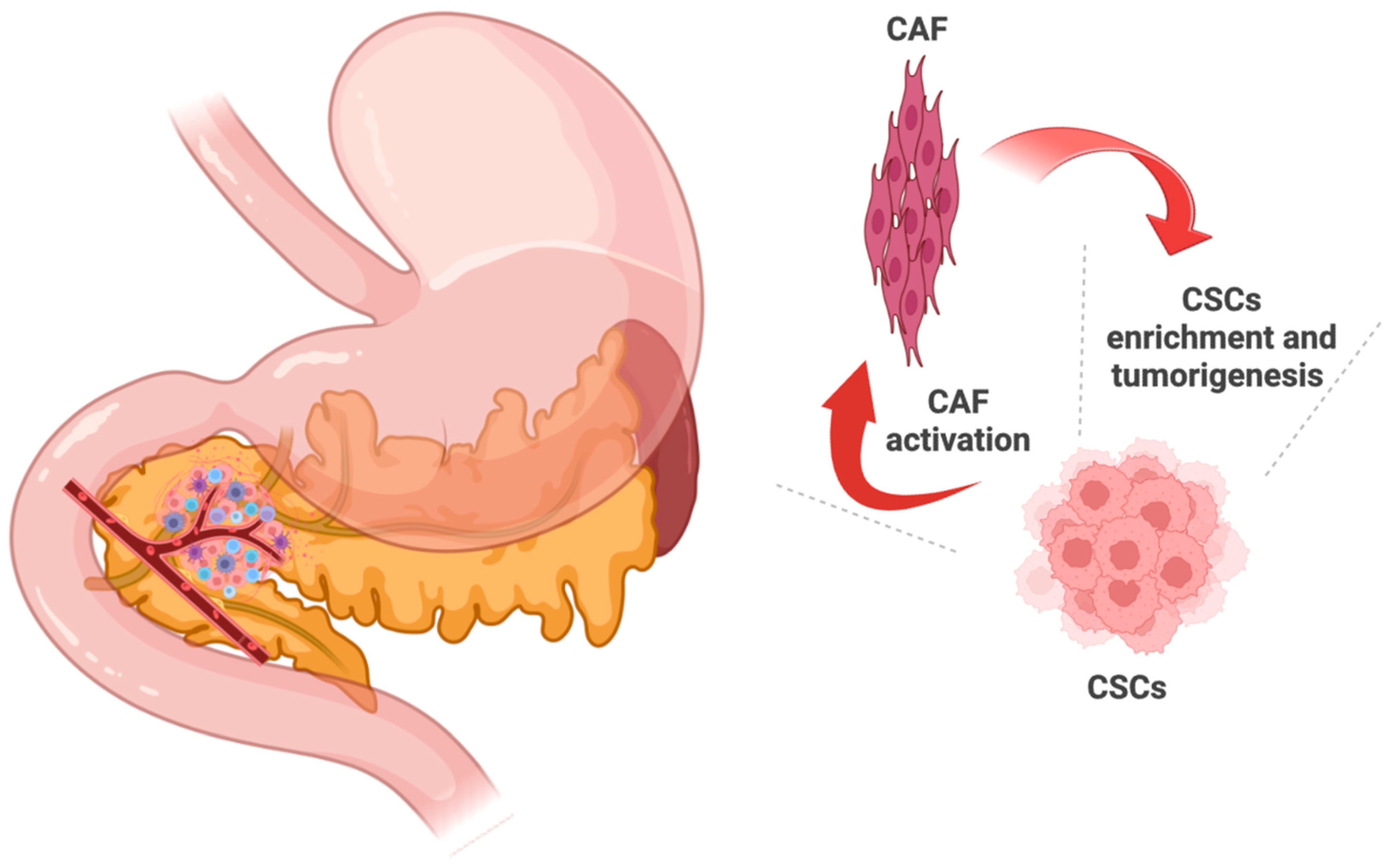 Cancers 14 04589 g001 Cancers 14 04589 g001