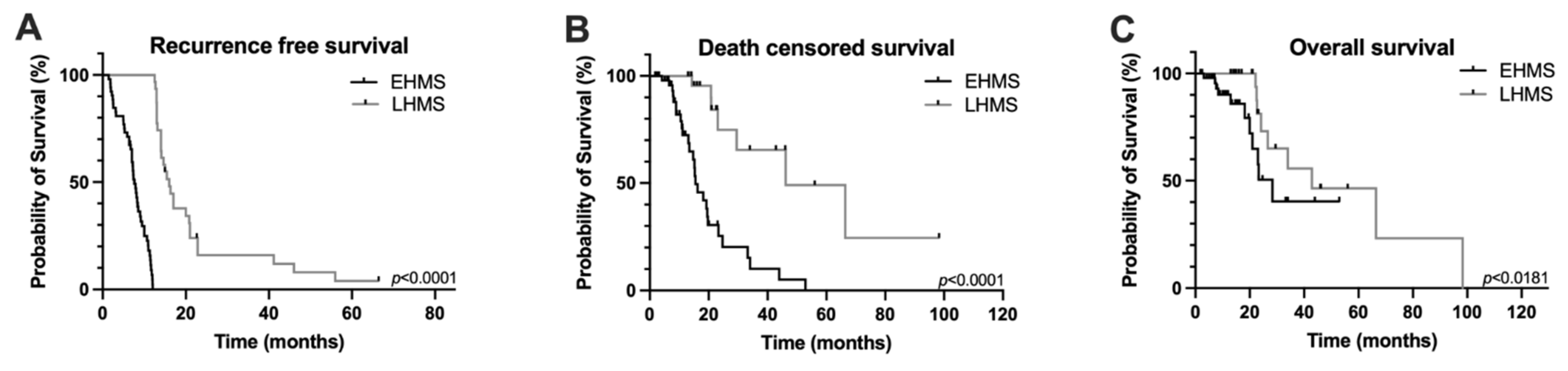 Cancers 14 04605 g002