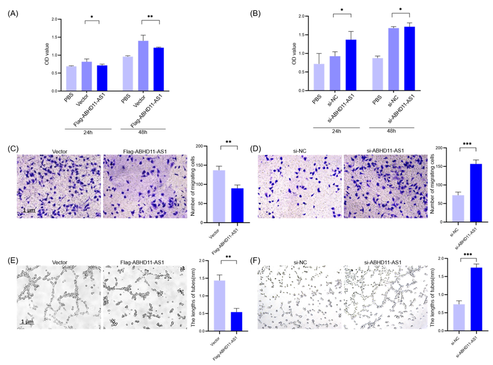 Cancers 14 04612 g005 Cancers 14 04612 g005