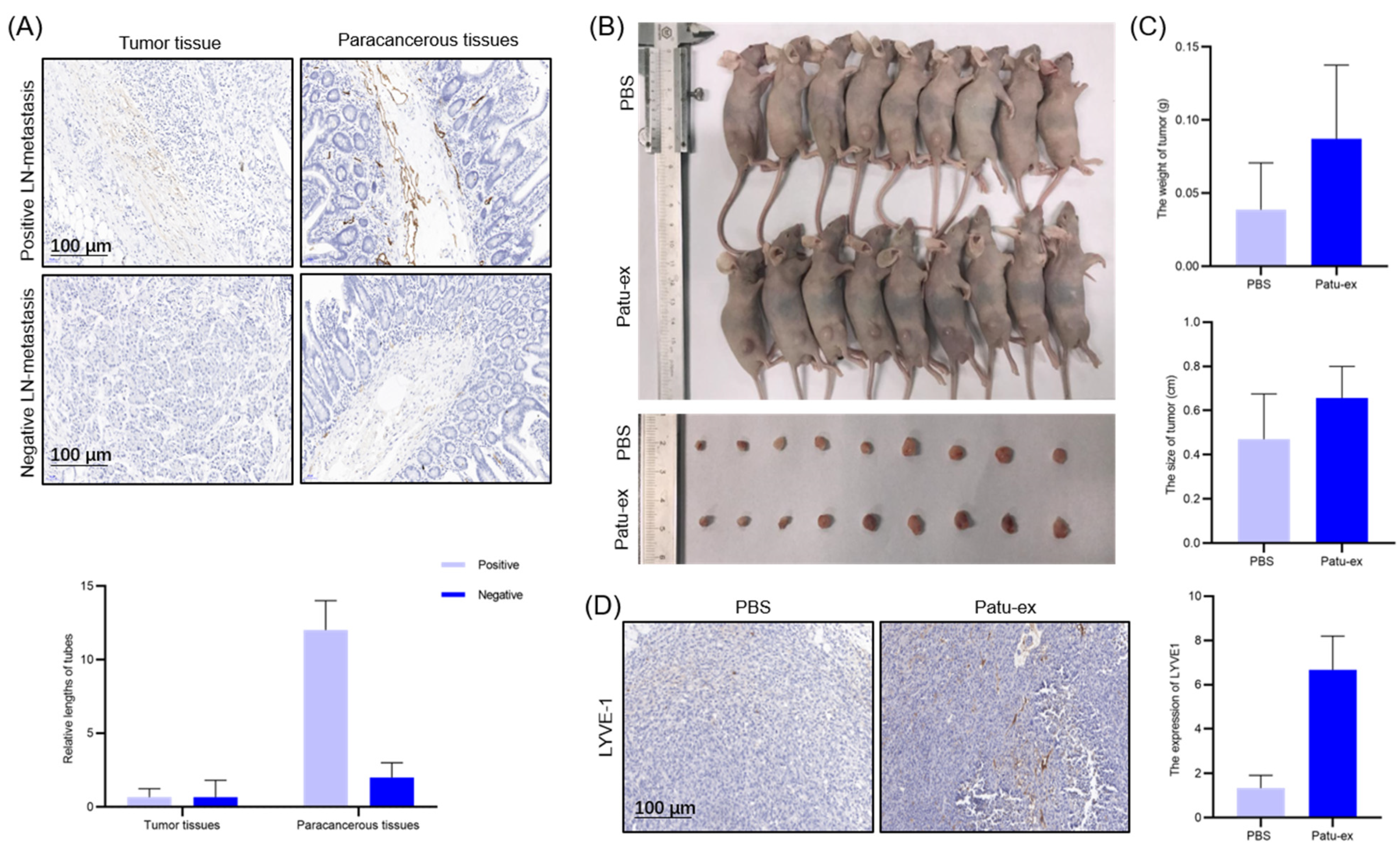 Cancers 14 04612 g007 Cancers 14 04612 g007