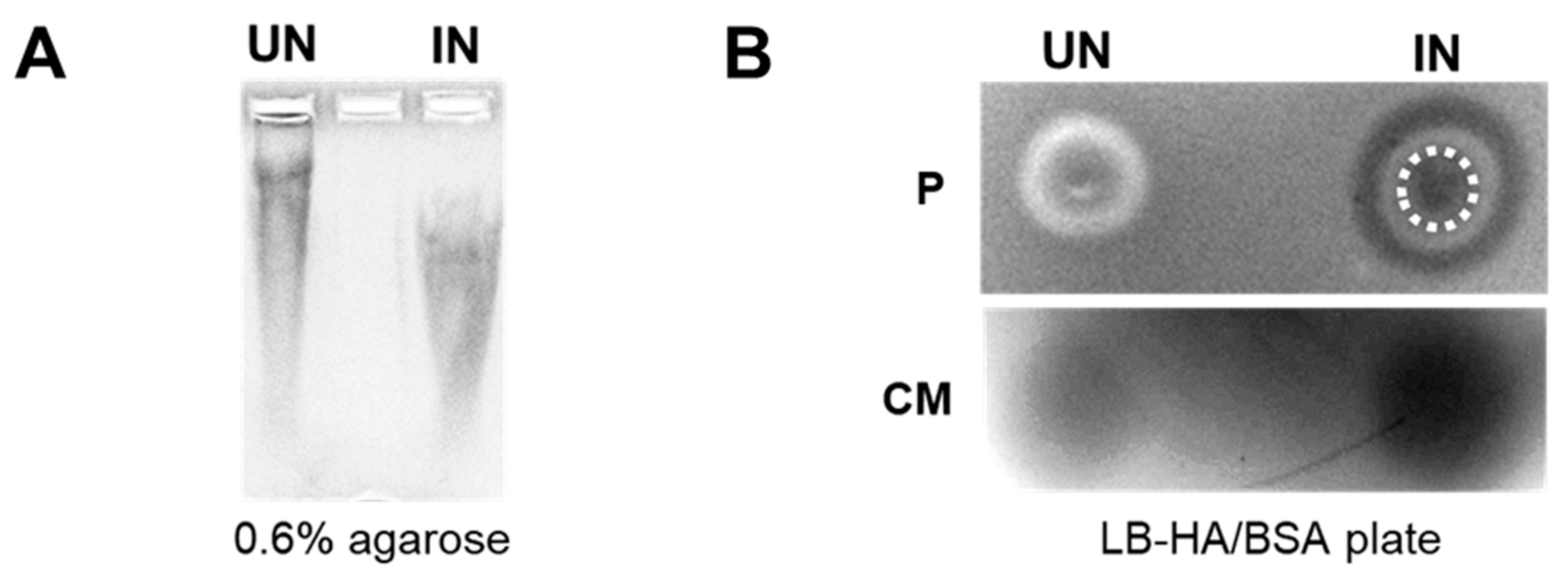 Cancers 14 04614 g002