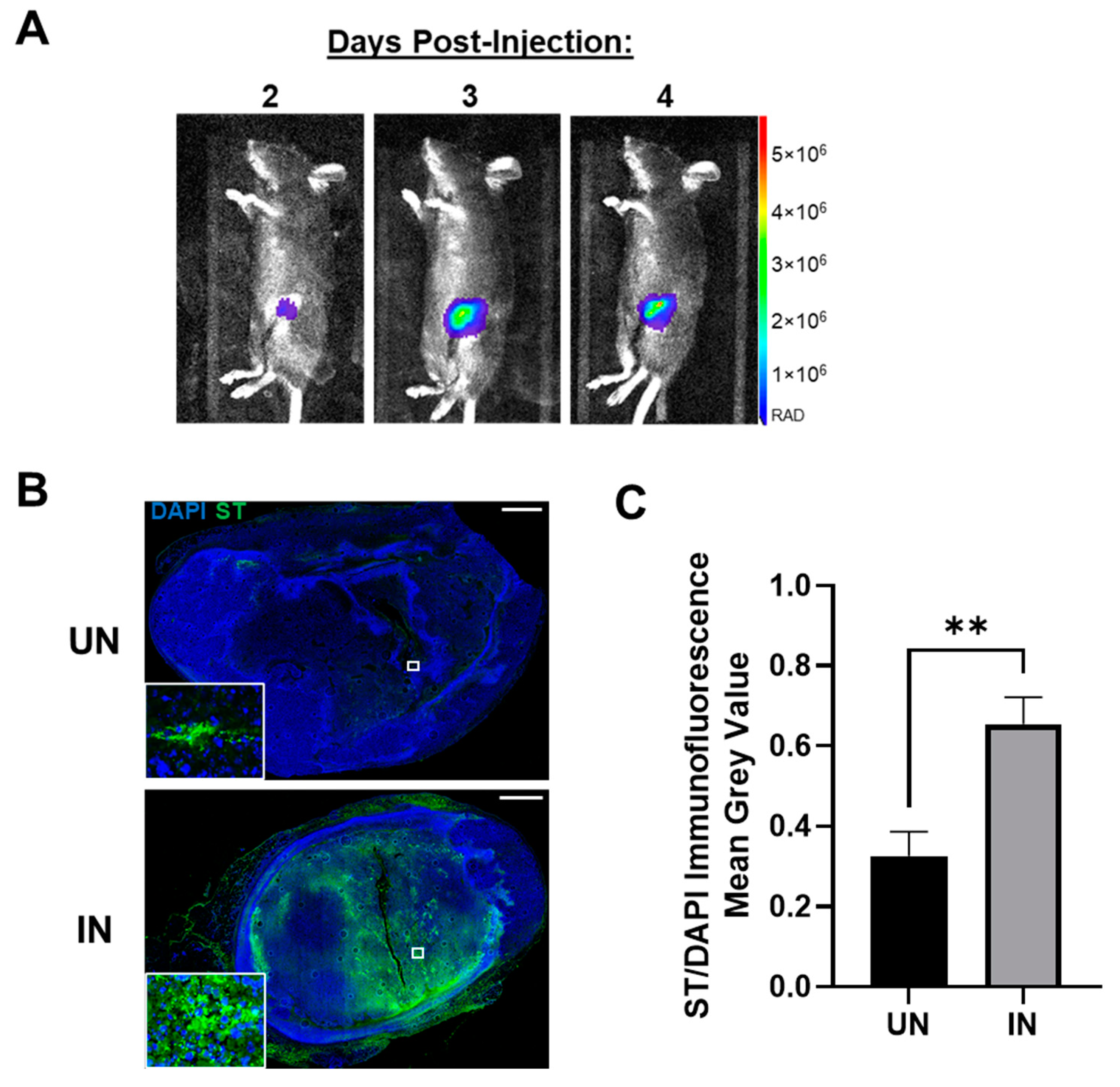 Cancers 14 04614 g004