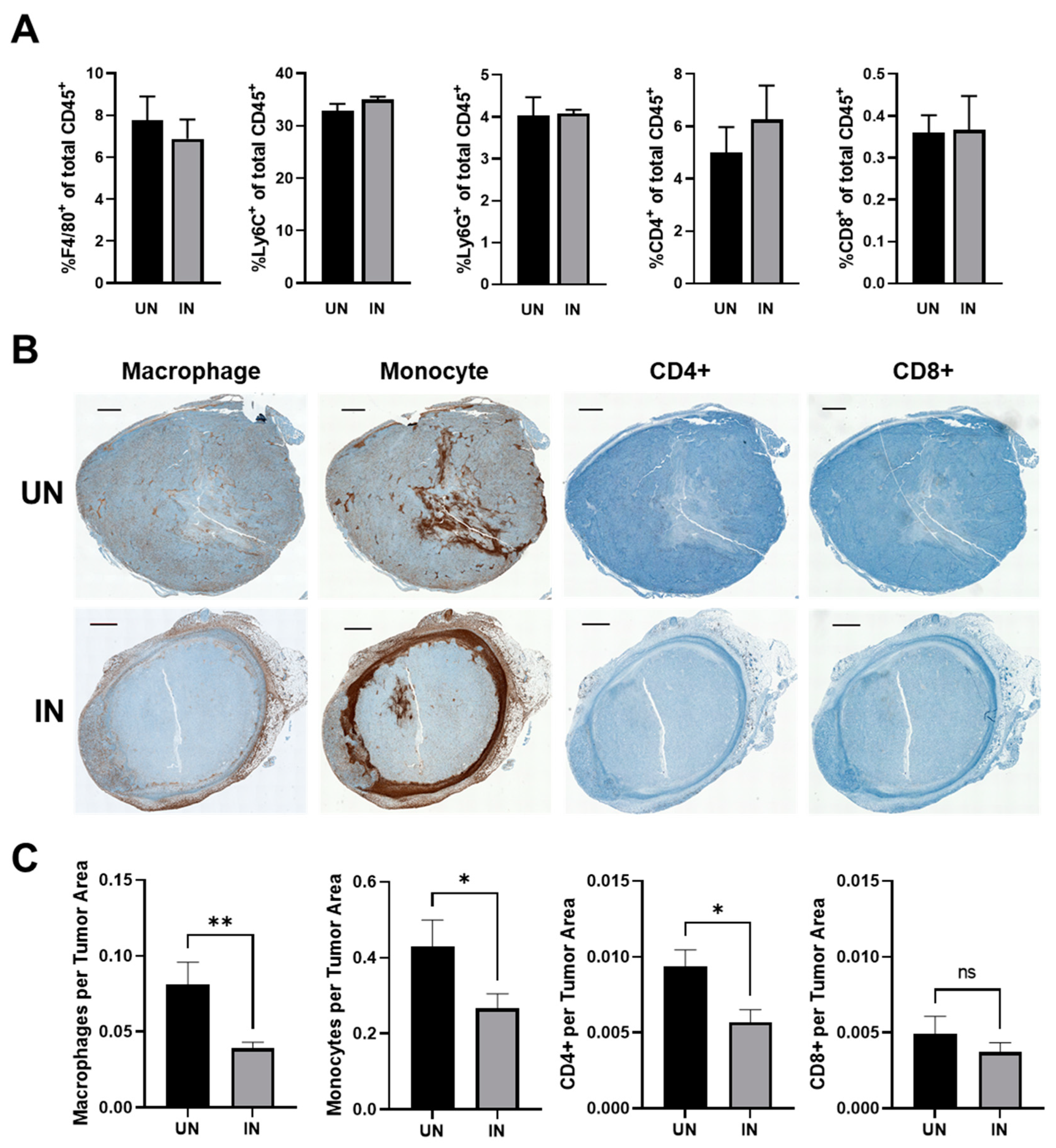 Cancers 14 04614 g007