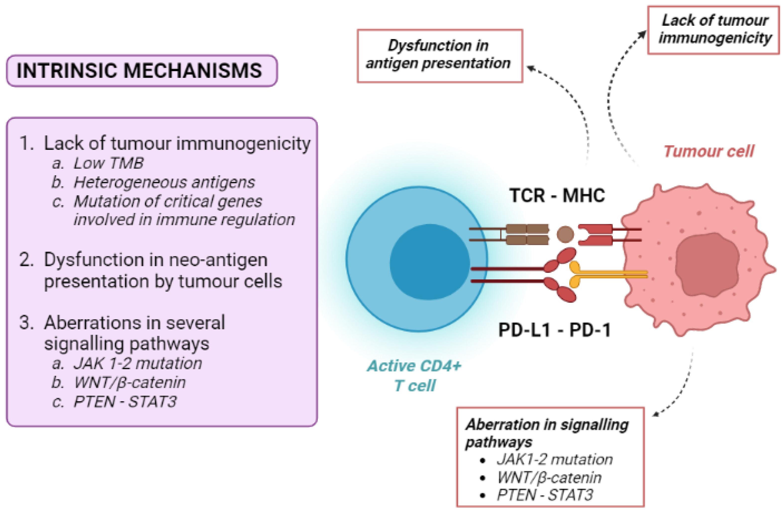 Cancers 14 04616 g002 Cancers 14 04616 g002