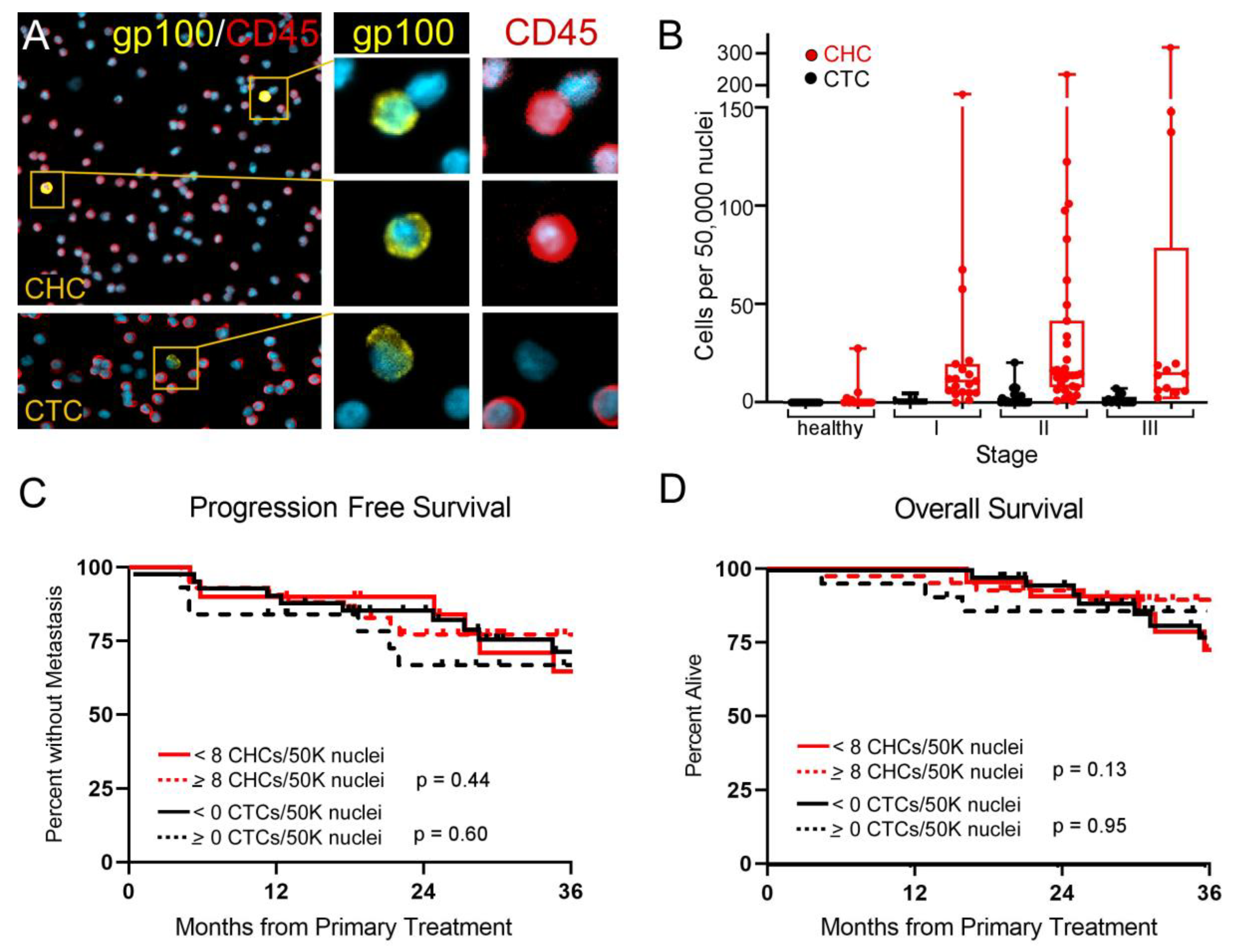 Cancers 14 04617 g001 Cancers 14 04617 g001