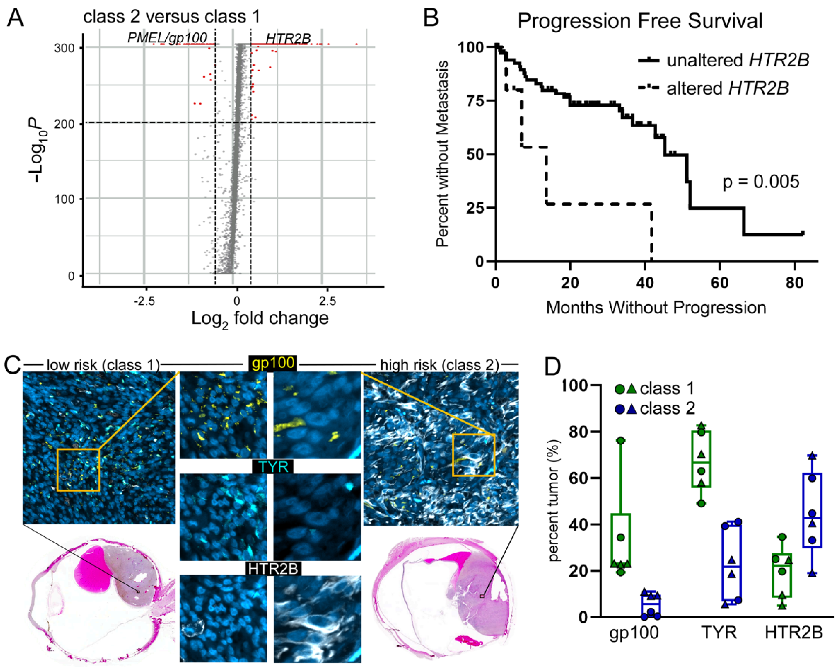 Cancers 14 04617 g002 Cancers 14 04617 g002