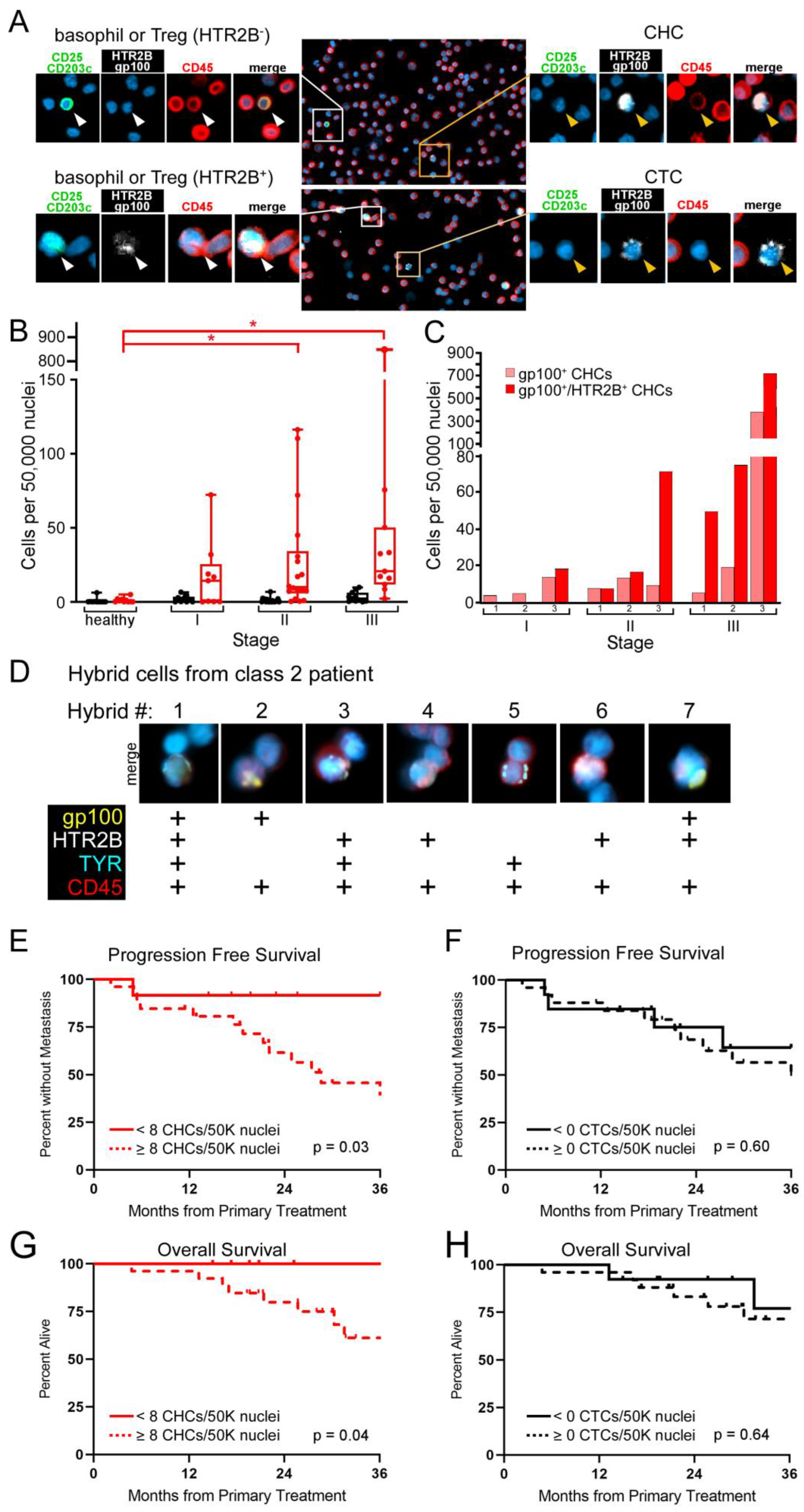 Cancers 14 04617 g003 Cancers 14 04617 g003