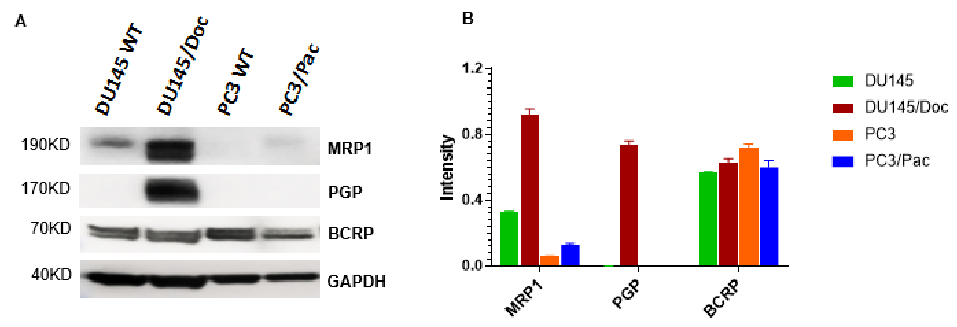 Cancers 14 04626 g001 Cancers 14 04626 g001