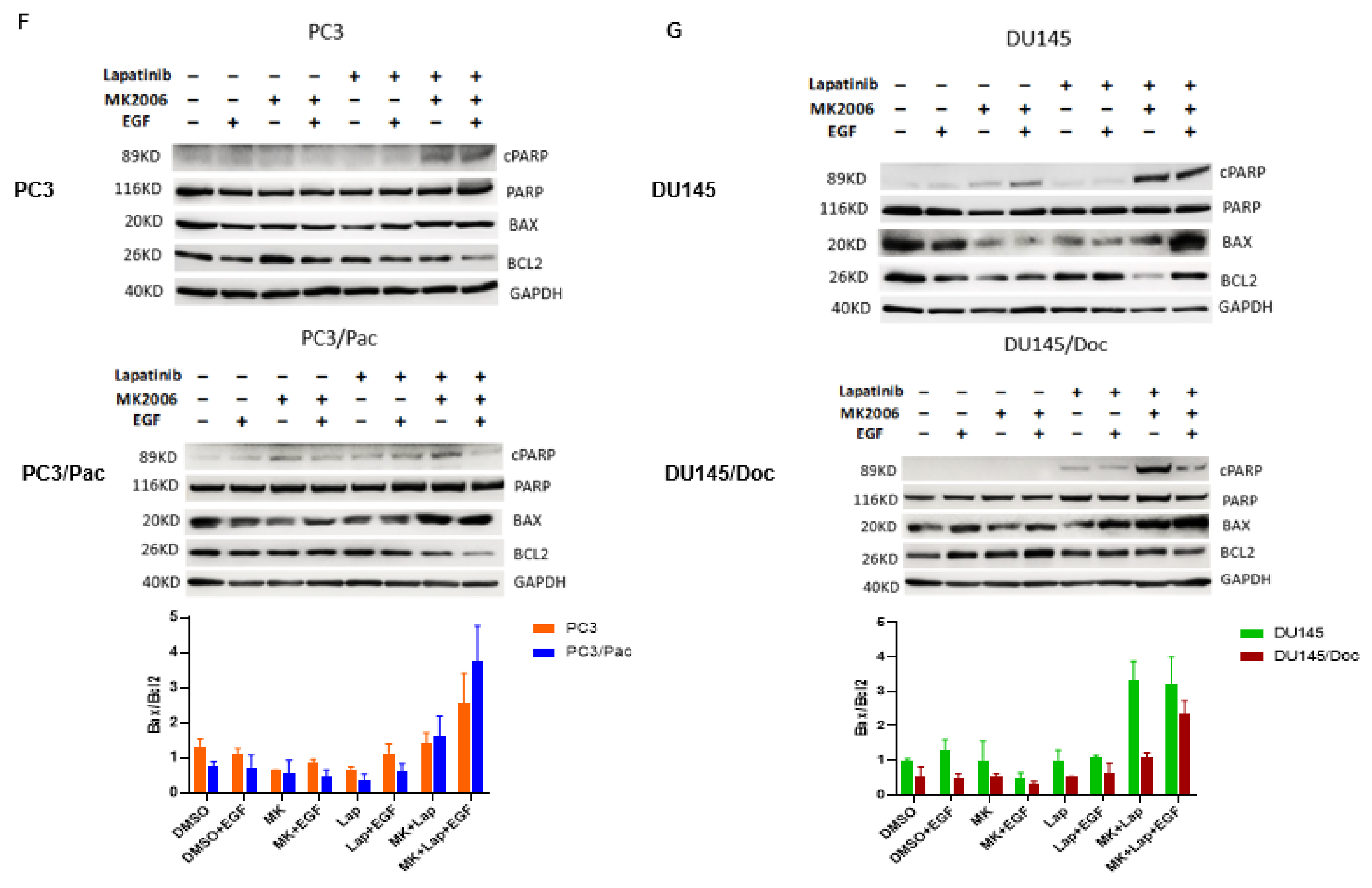 Cancers 14 04626 g003e Cancers 14 04626 g003e