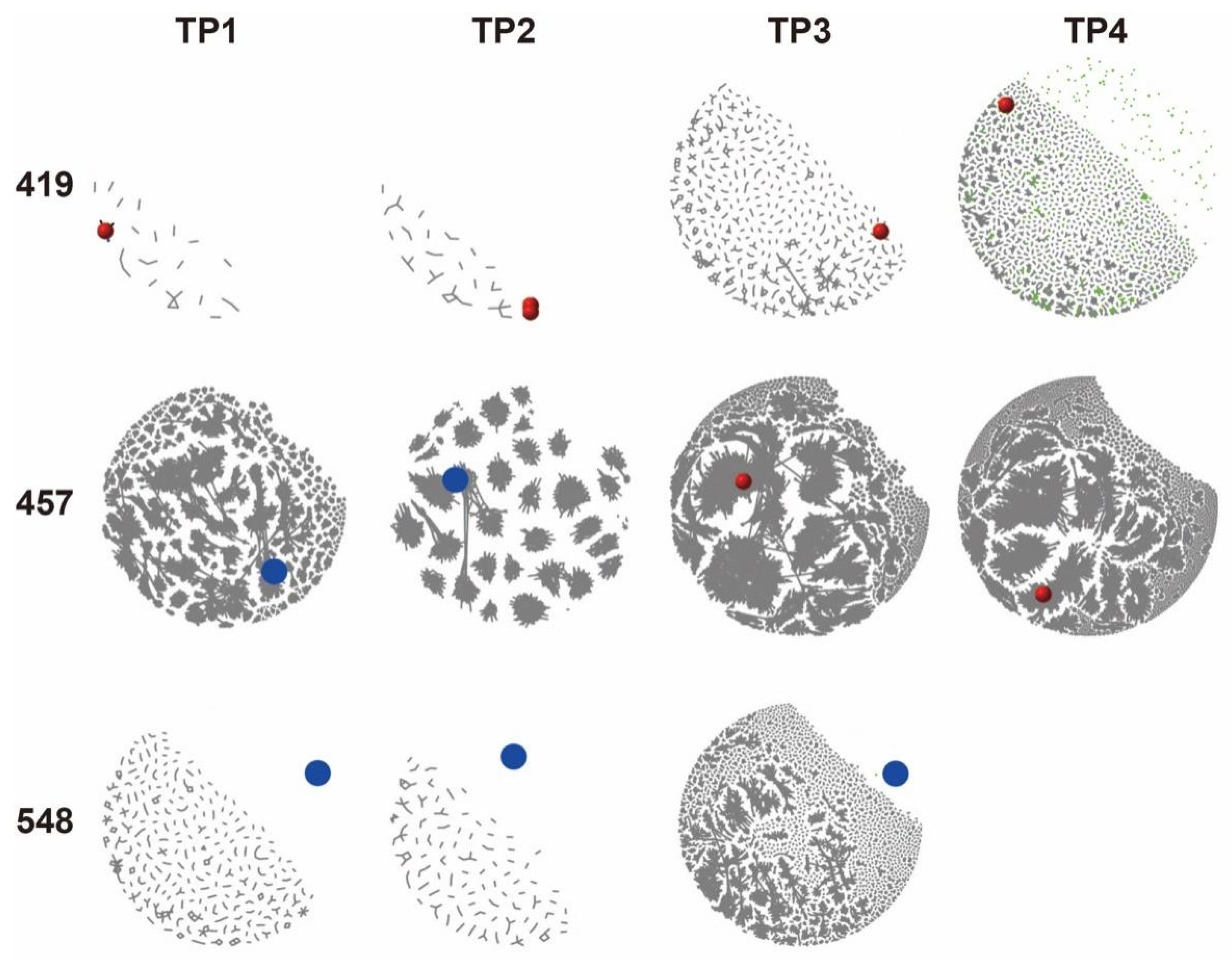 Cancers 14 04628 g005 Cancers 14 04628 g005
