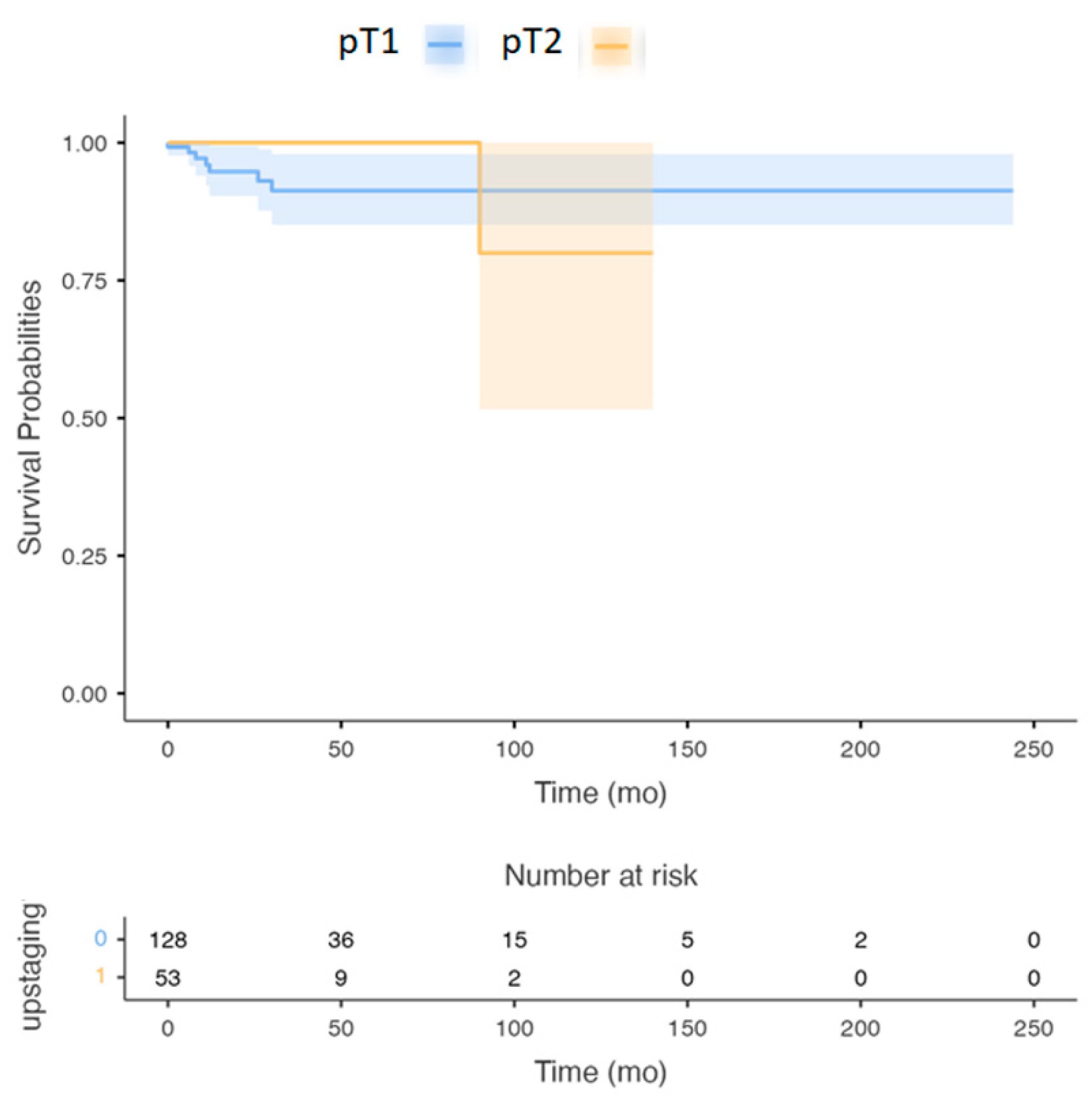 Cancer In The 8Th House Deathsupport And Help Detail - t8b2zeb