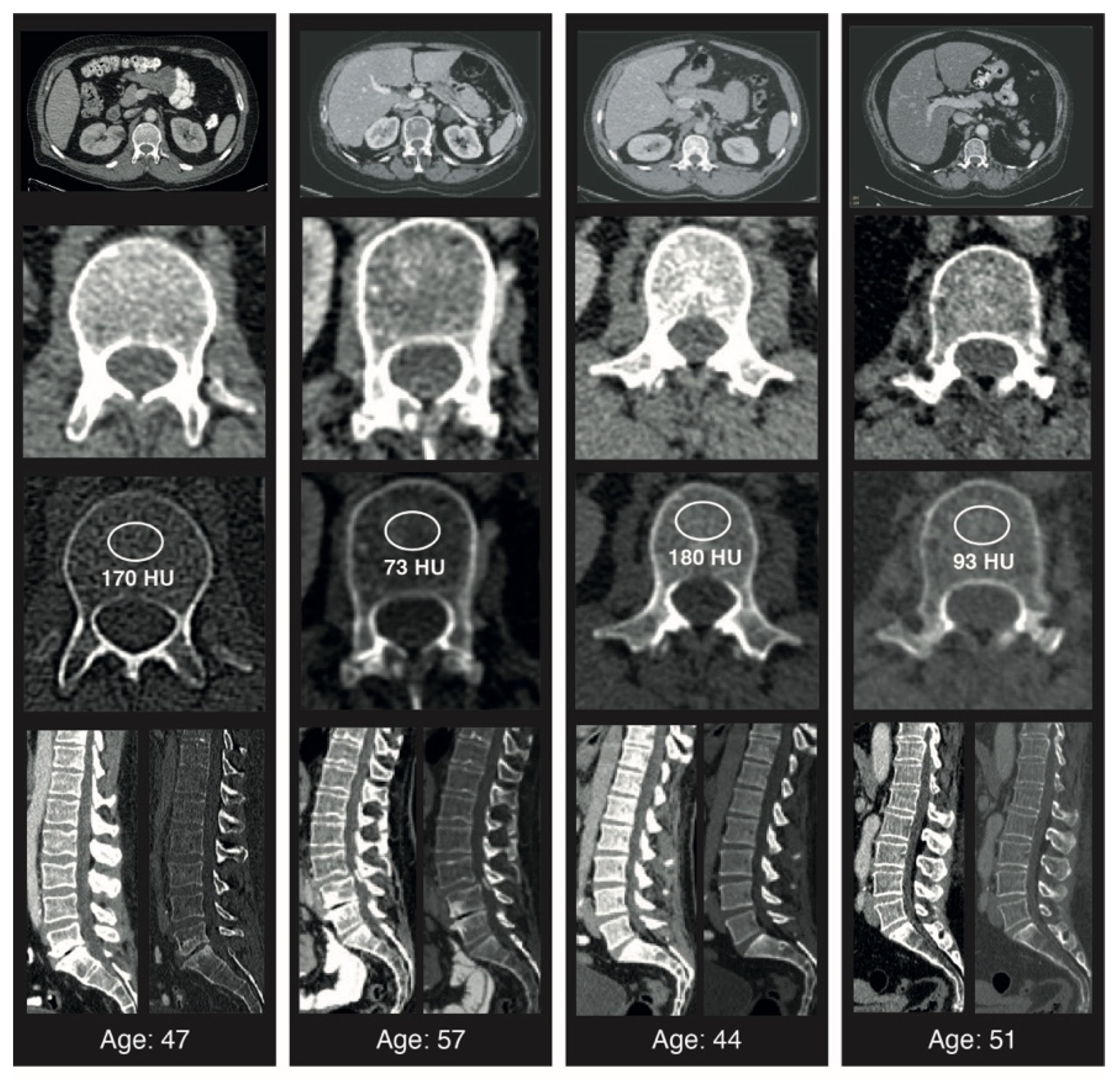 Cancers 14 04633 g001